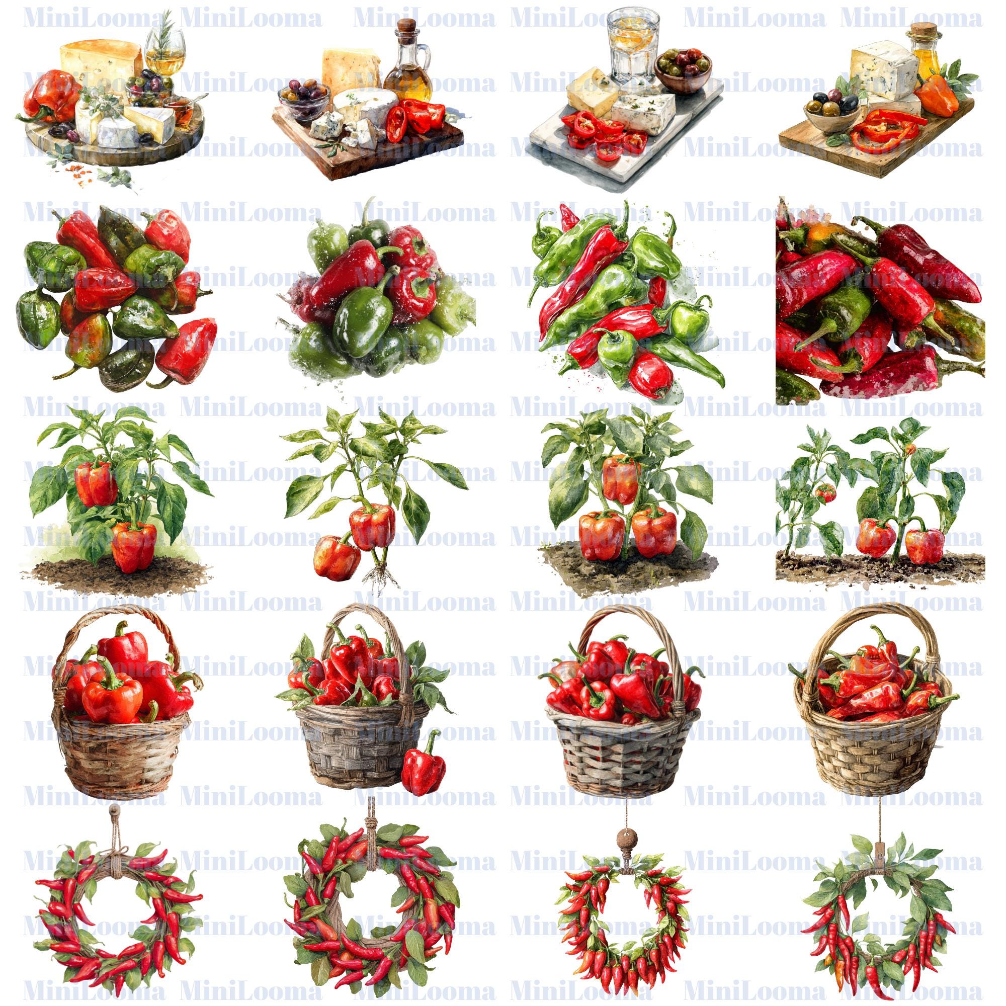77 Red Pepper Watercolor Clipart: Bell   Chili, Food Art (PNG Transparent)