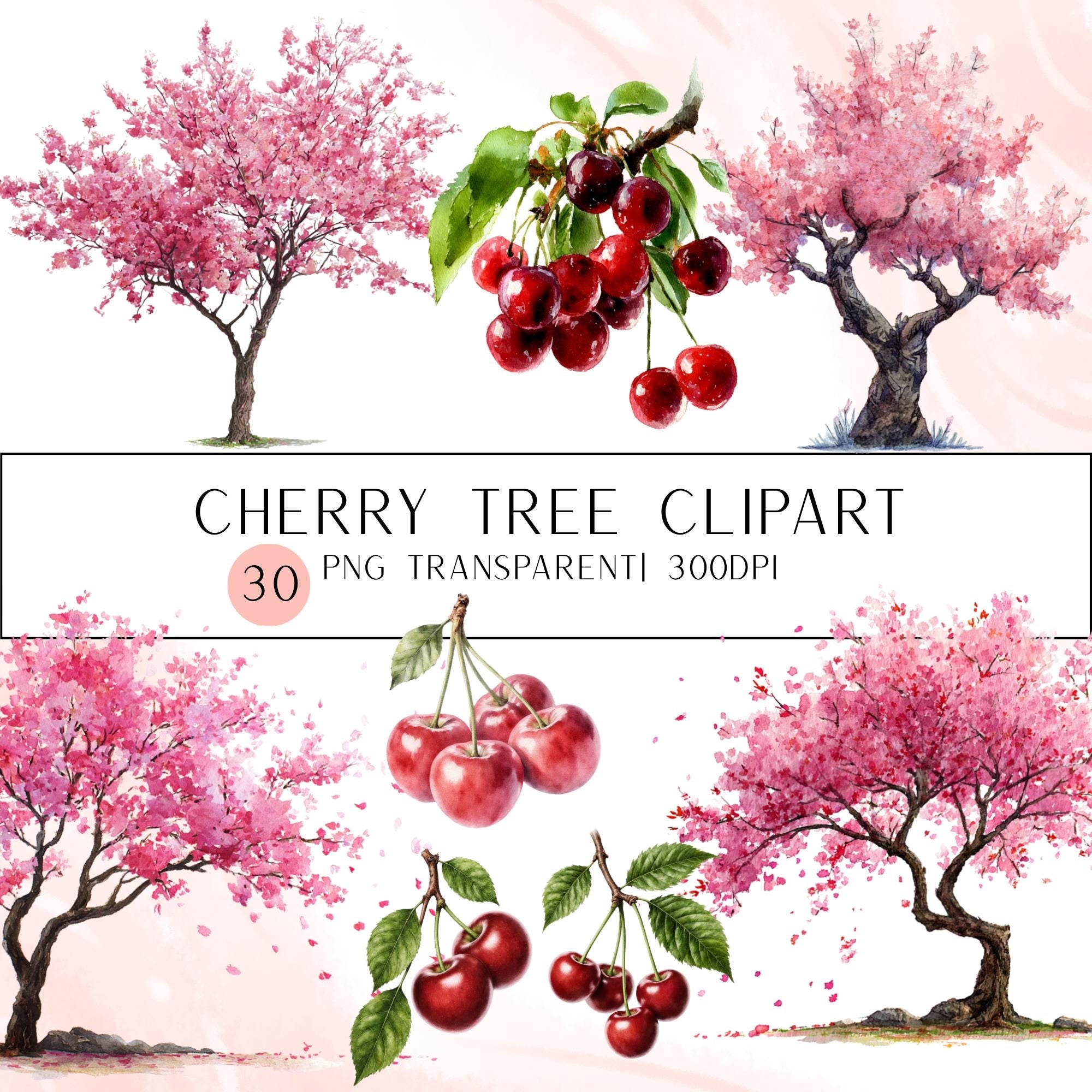 30 Cherry Tree Clipart Bundle: Watercolor Fruit Designs (PNG + PDF)