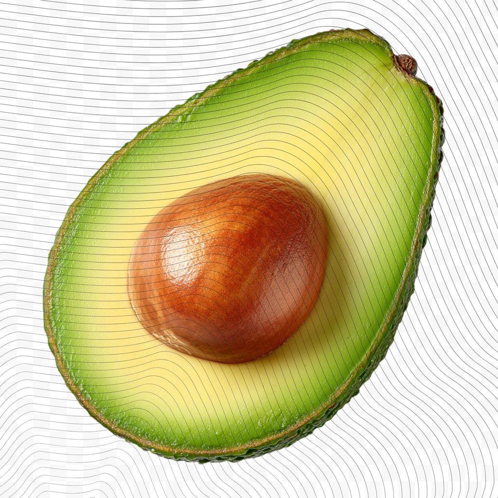 25 Realistic Avocado Clipart Bundle| PNG Transparent Background