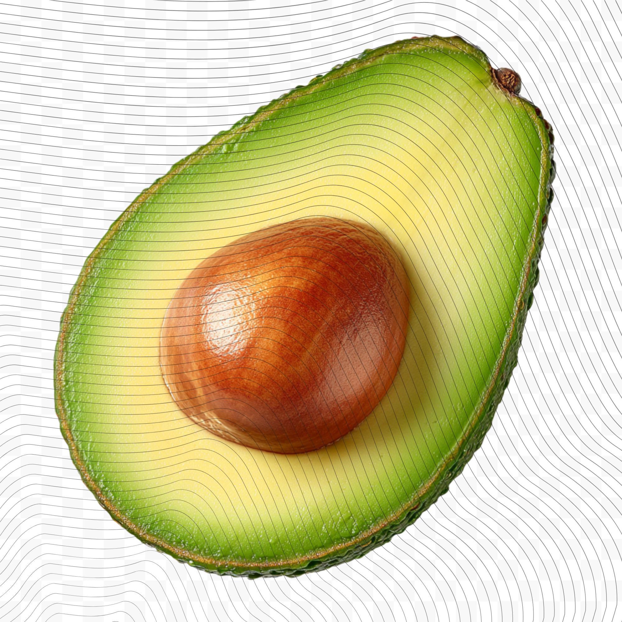 25 Realistic Avocado Clipart Bundle| PNG Transparent Background