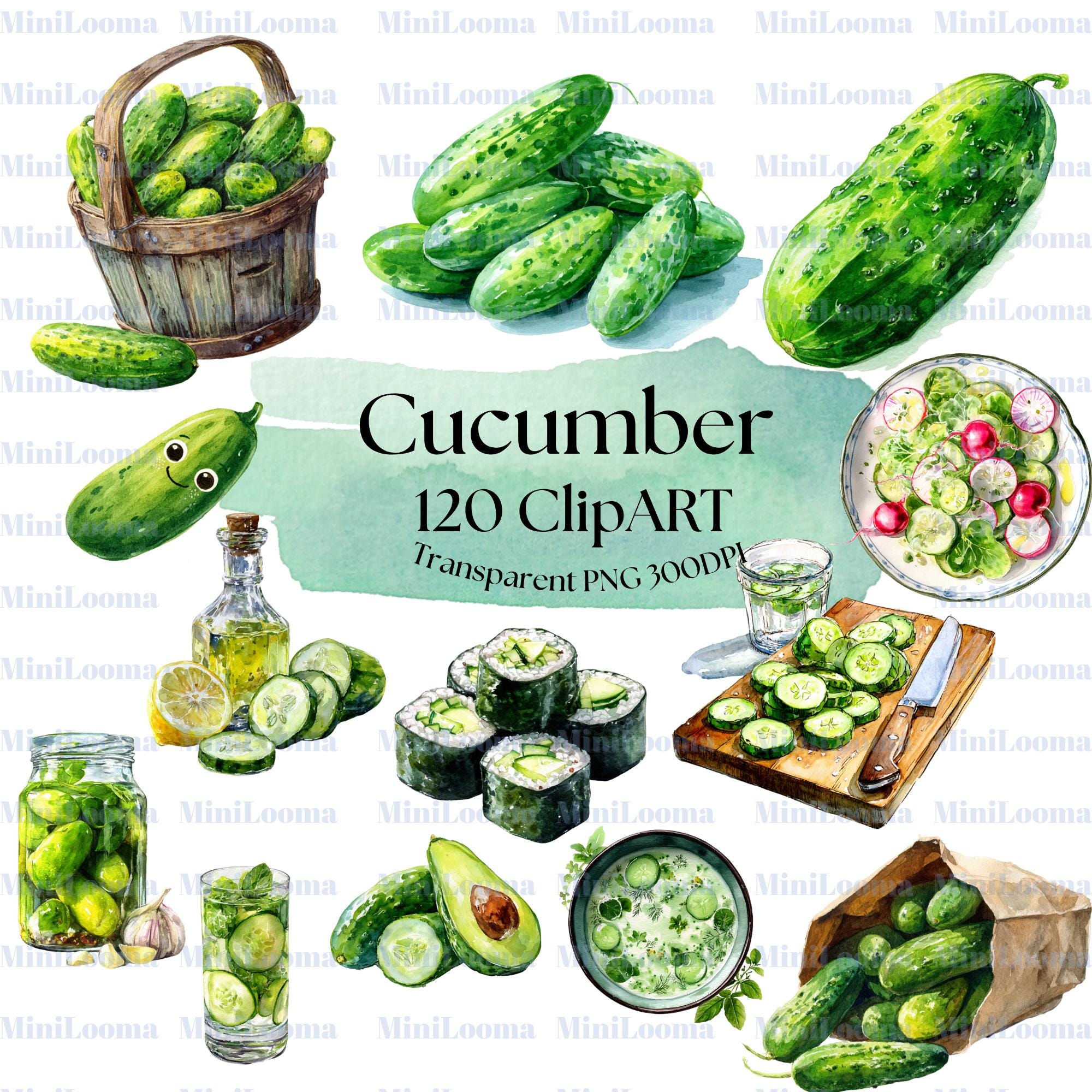 120 Cucumber Watercolor Clipart: Kitchen Art, Recipe Cards (PNG Transparent)