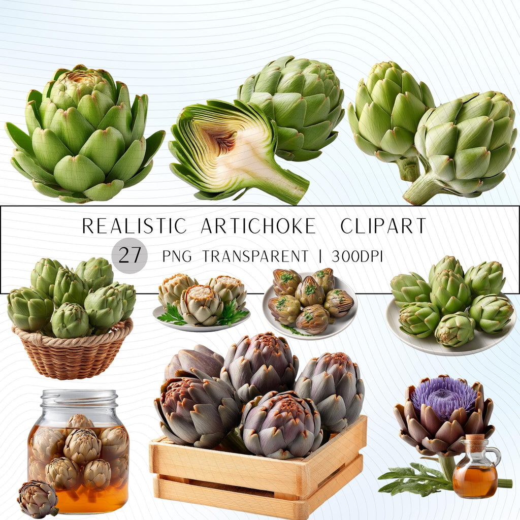 27 Realistic Artichoke Clipart Bundle| PNG Transparent Background