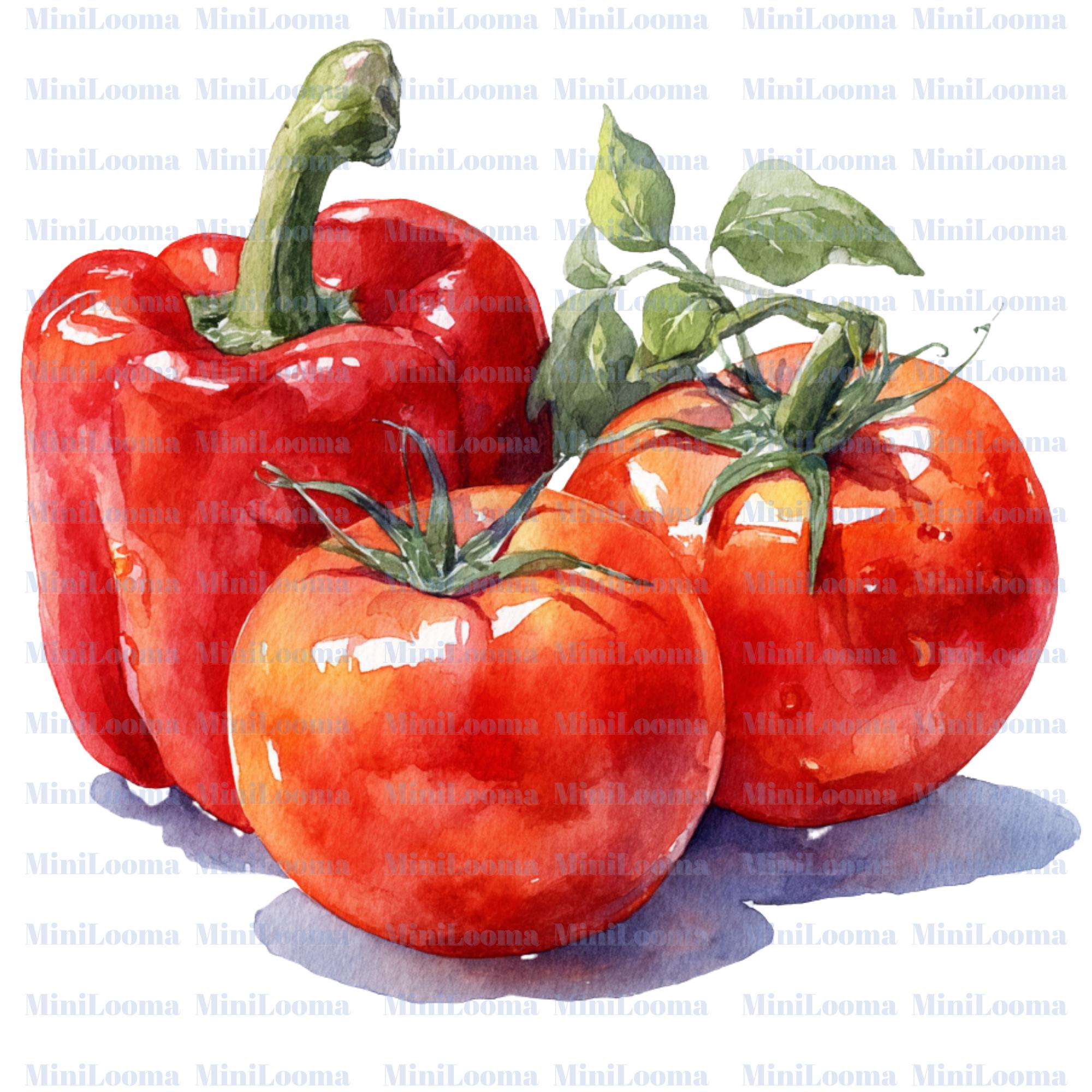 77 Red Pepper Watercolor Clipart: Bell   Chili, Food Art (PNG Transparent)