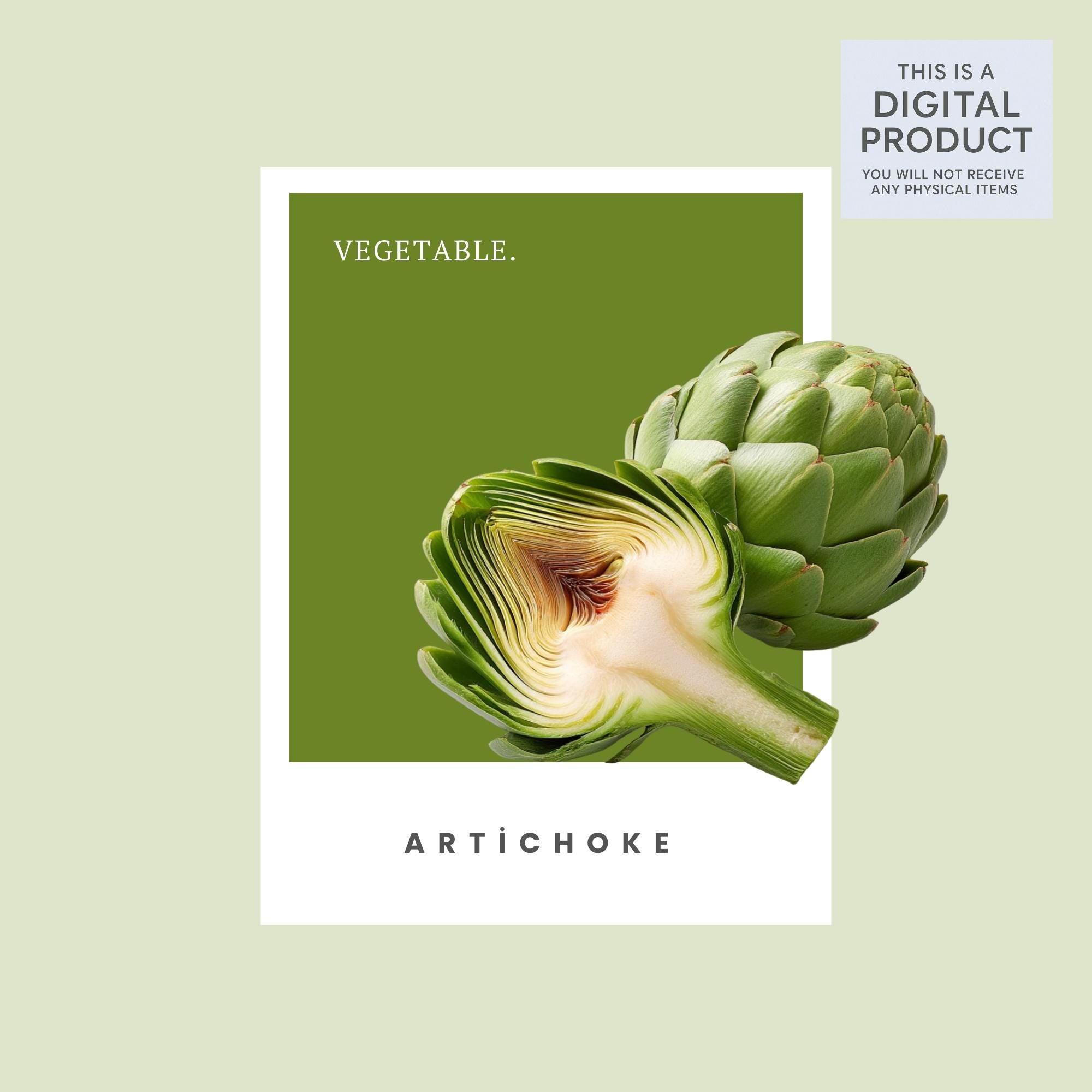 27 Realistic Artichoke Clipart Bundle| PNG Transparent Background