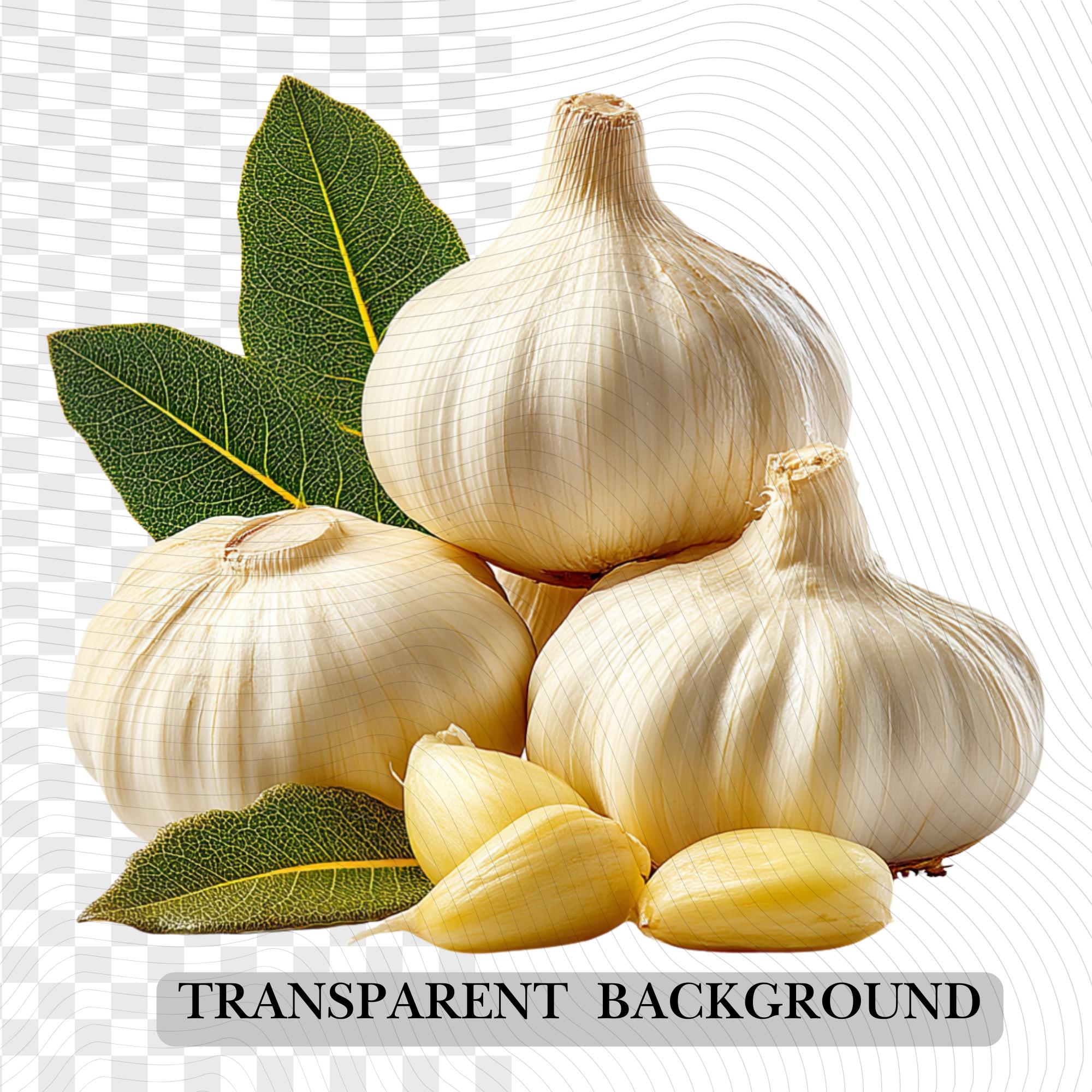 27 Realistic Garlic Bundle | PNG Transparent Background