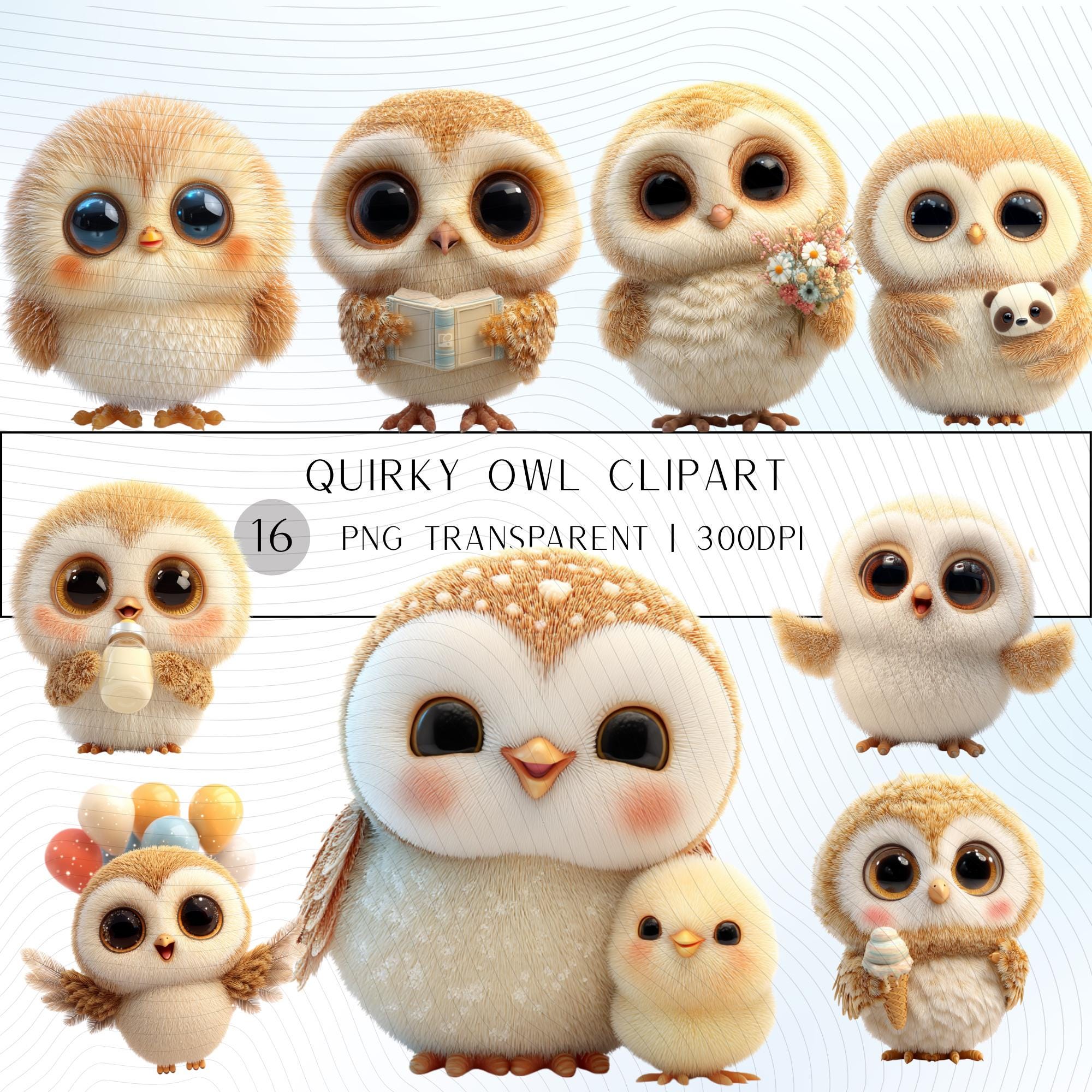 16 Quirky Owl Clipart Set | Funny Characters PNG Transparent Background| 300DPI