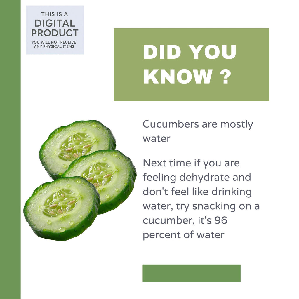 27 Realistic Cucumber Clipart Bundle| PNG Transparent Background