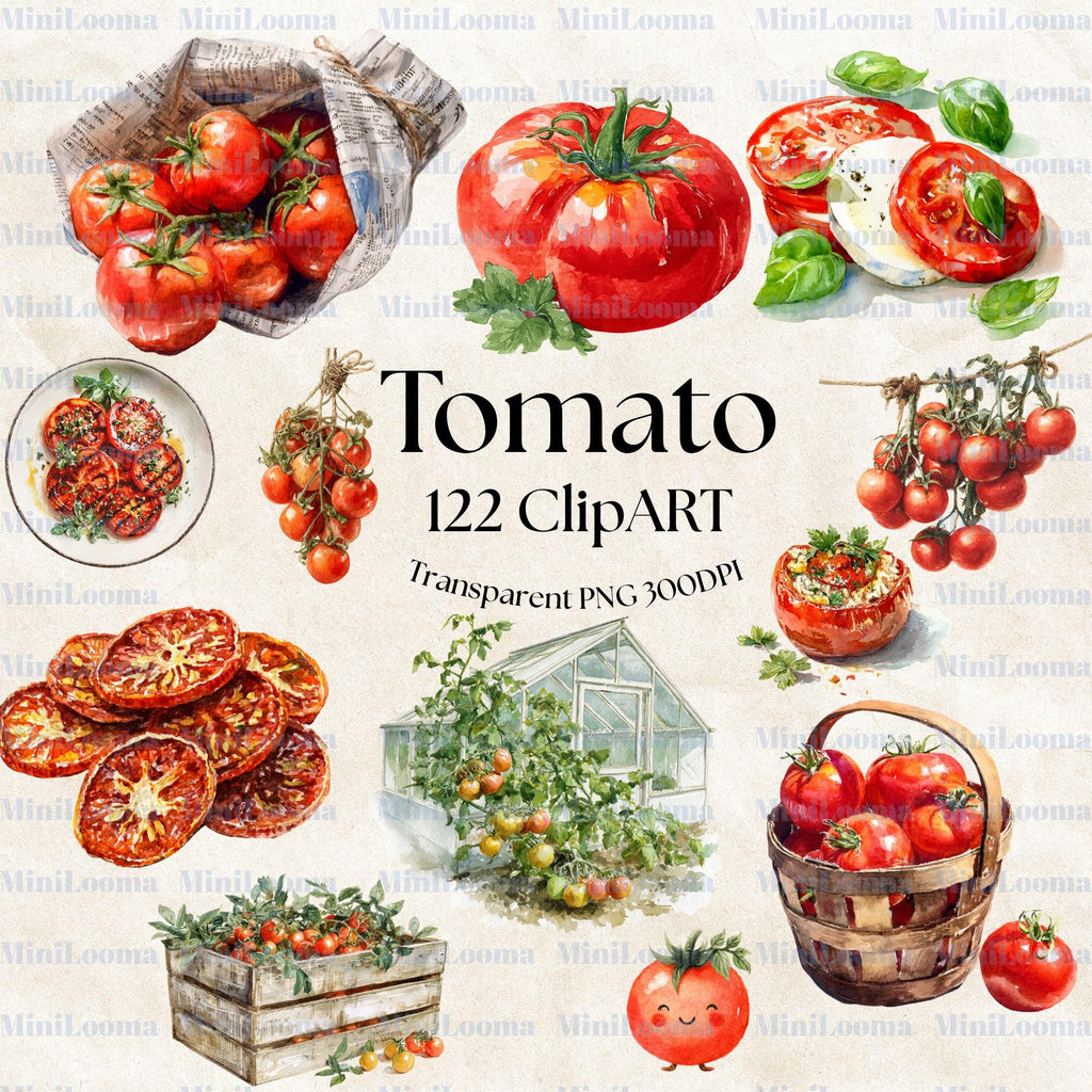 122 Watercolor Tomato Clipart Bundle: Kitchen Art, Recipe Illustration (Transparent PNG)