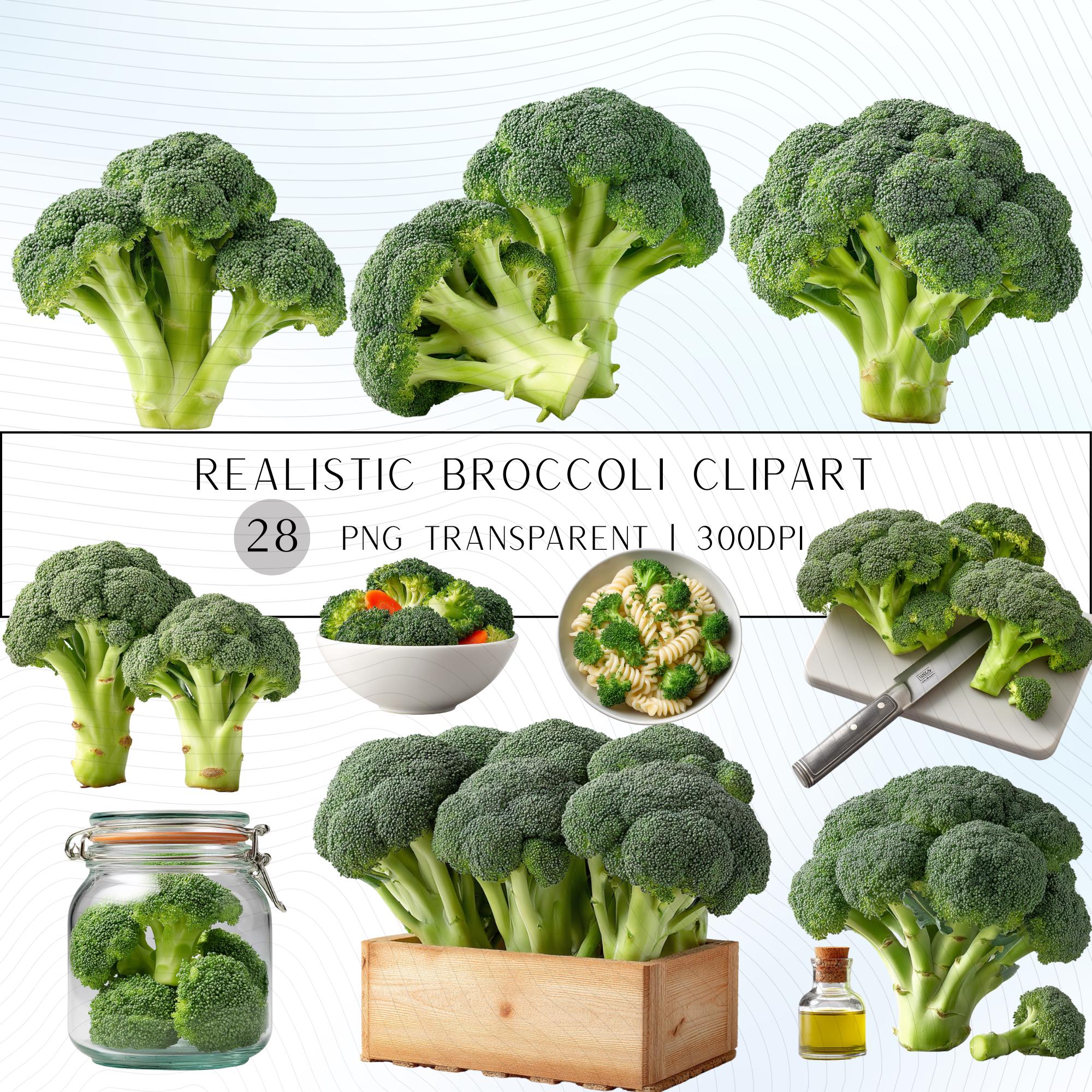 28 Realistic Broccoli Clipart Bundle| PNG Transparent Background
