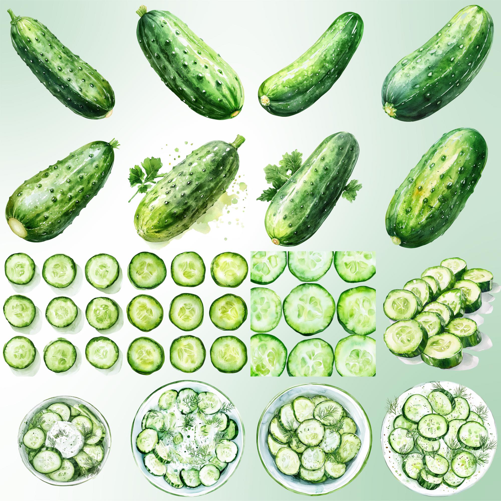40 Cucumber Clipart Bundle: Watercolor Veggies, Pickle Jar (PNG Transparent)
