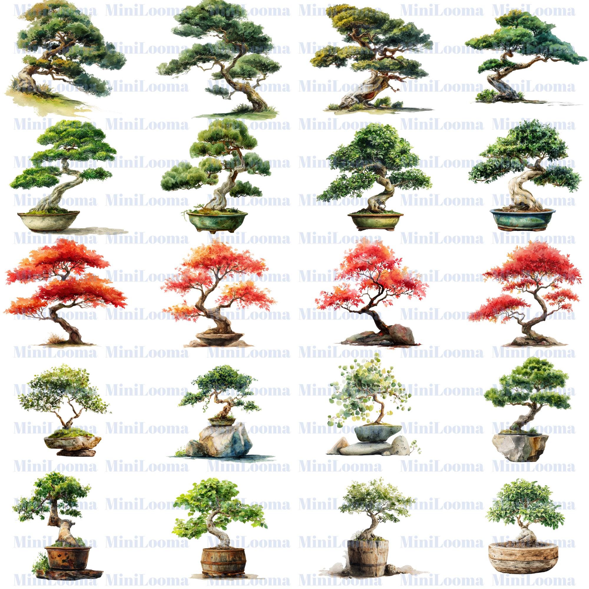 120 Watercolor Bonsai Tree Clipart Bundle: Japanese Garden Art (Transparent PNG)