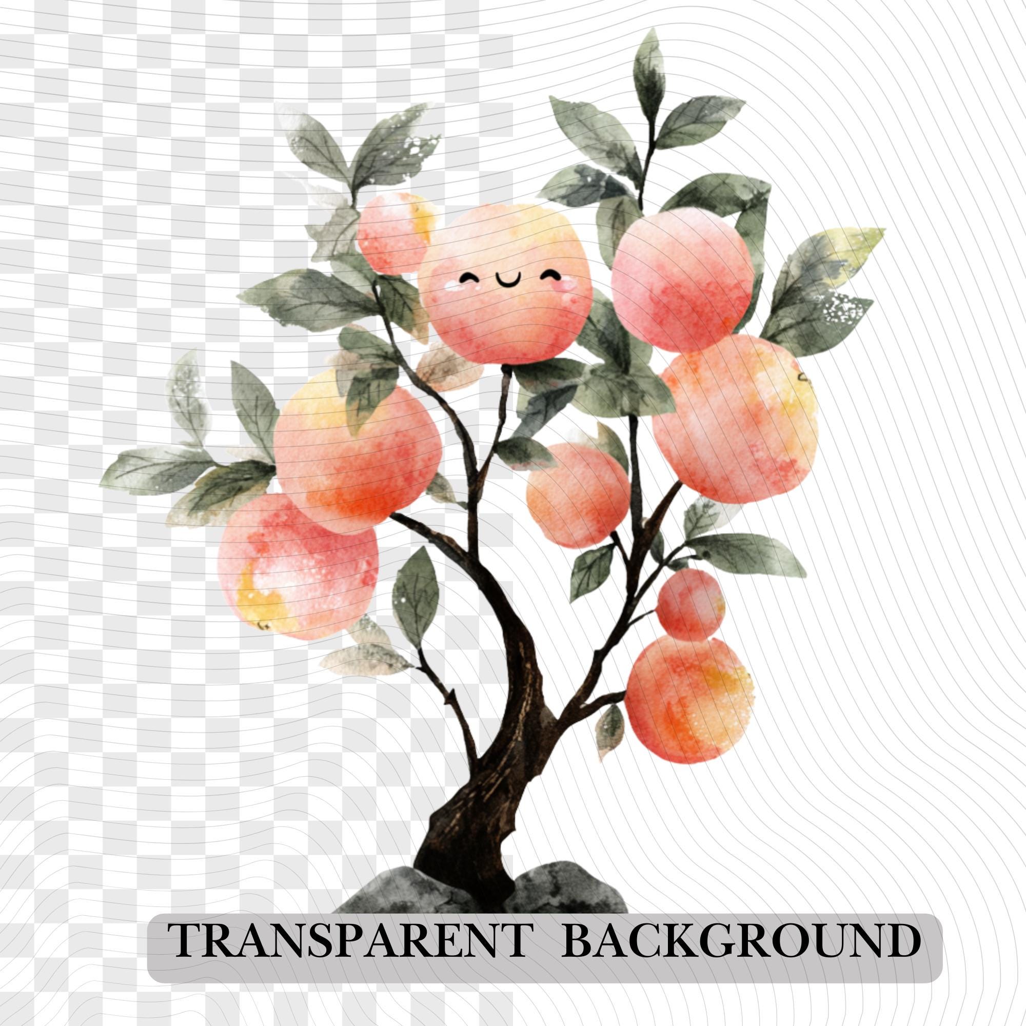 30 Watercolor Peach Tree Clipart Bundle: Transparent PNG (Digital Download)