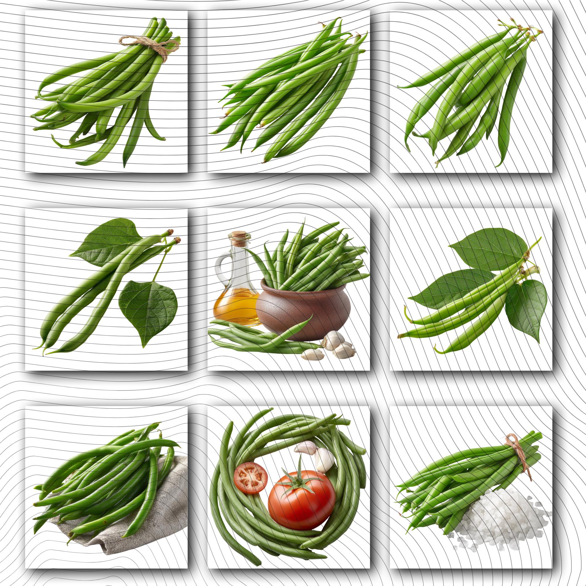 18 Realistic Green Beans Clipart Bundle| PNG Transparent Background