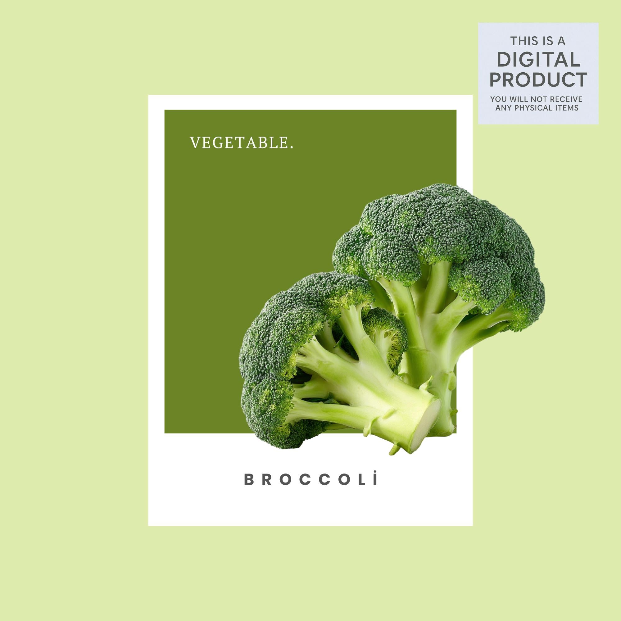 28 Realistic Broccoli Clipart Bundle| PNG Transparent Background
