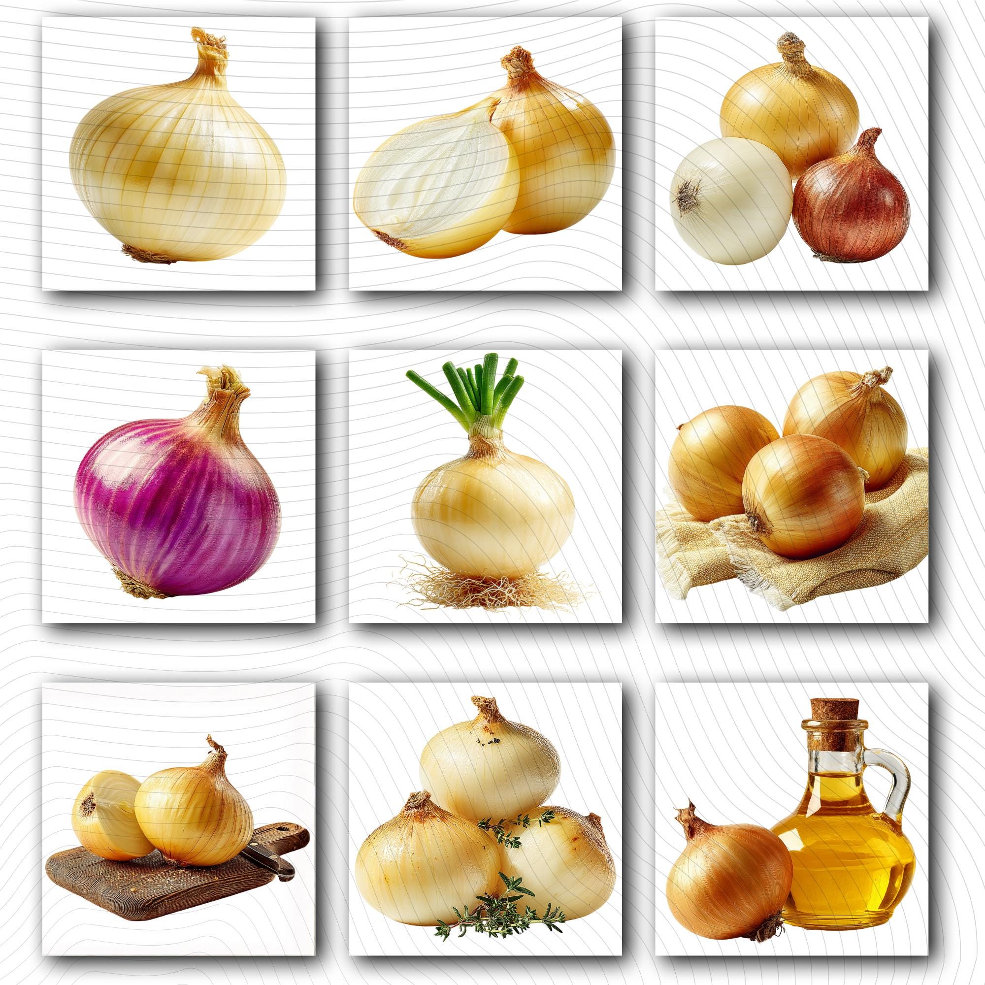 19 Realistic Onion Clipart Bundle | Botanical Onions PNG Transparent Background