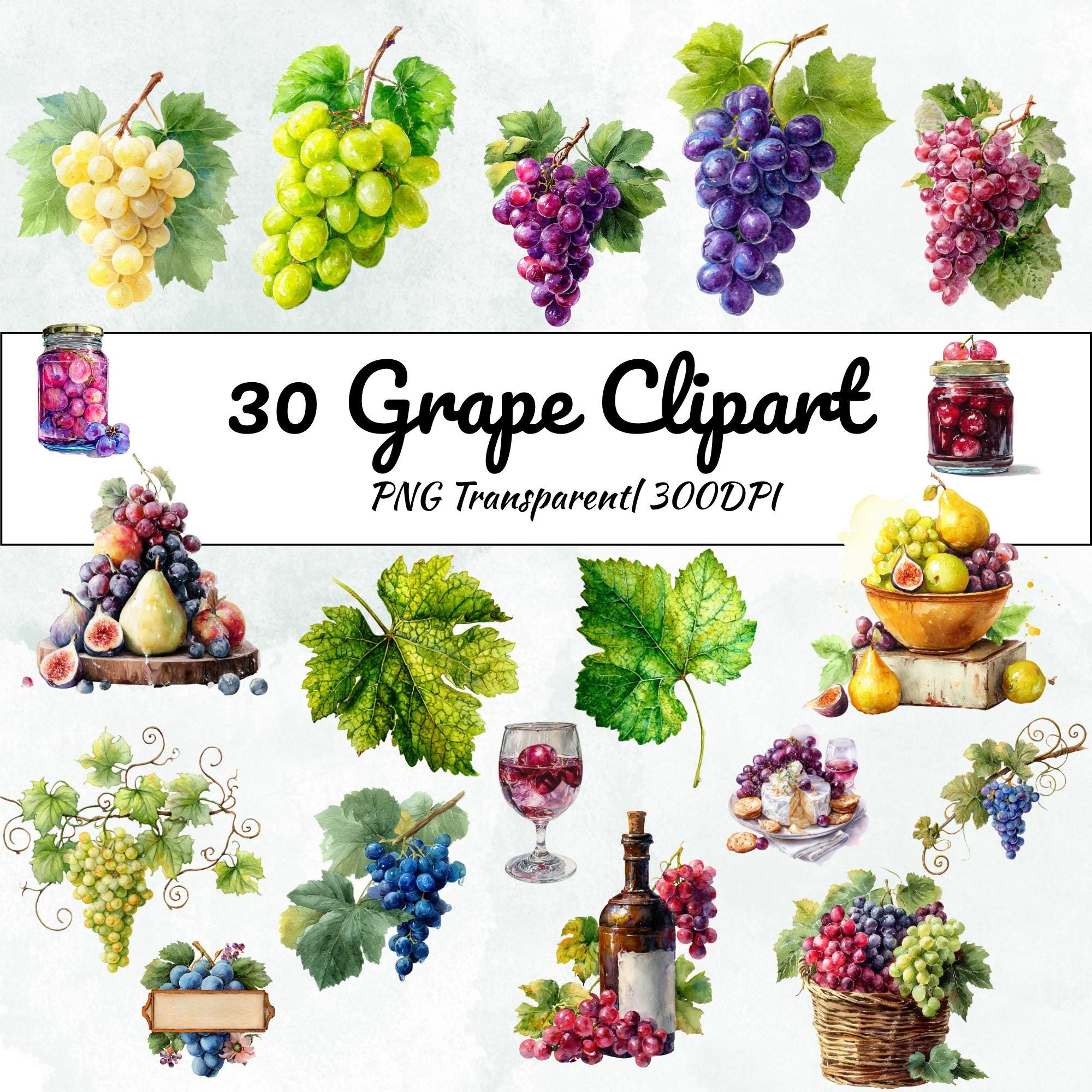 30 Watercolor Grape Clipart Bundle: Vineyard Art, Wine - Autumn Designs (Transparent PNG)