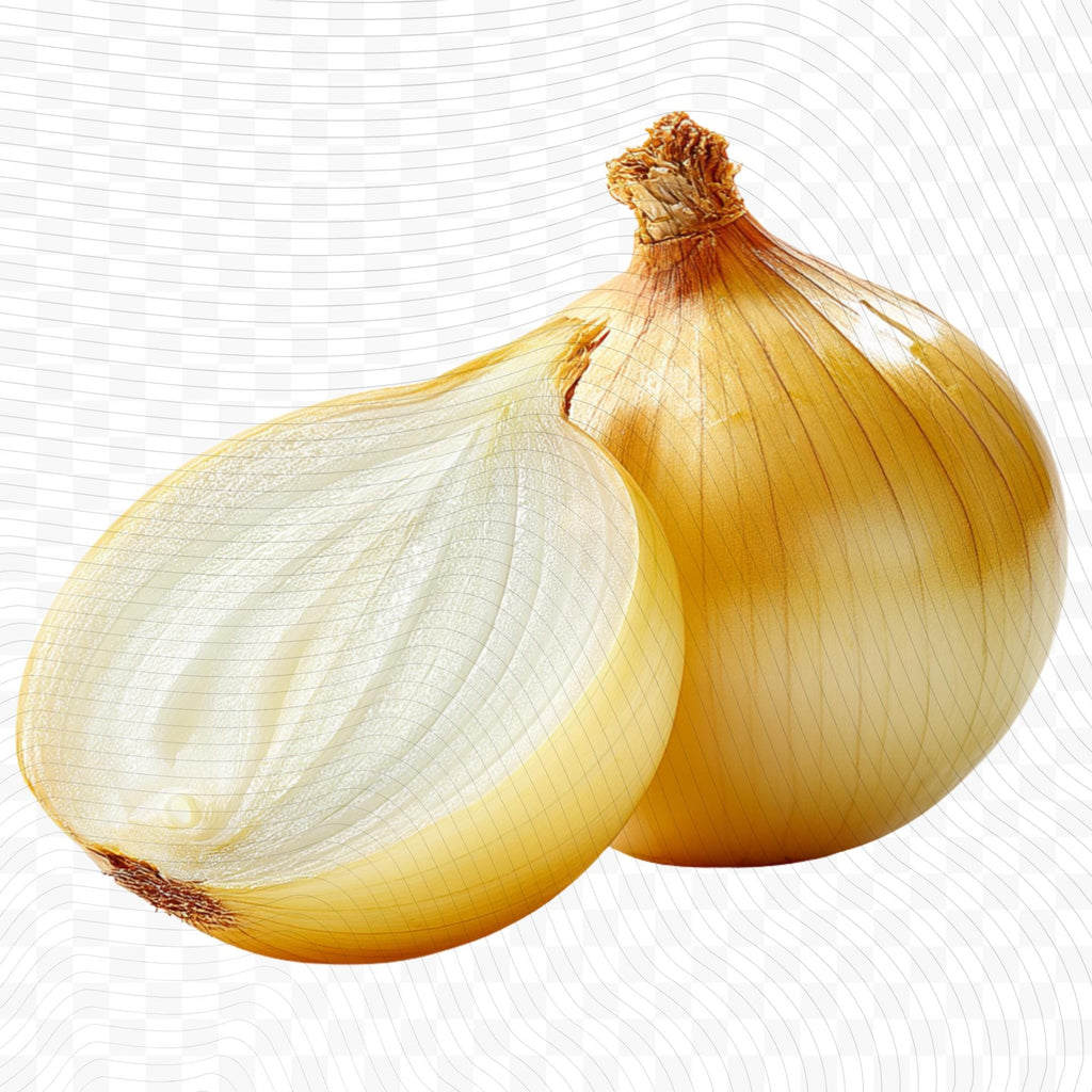 19 Realistic Onion Clipart Bundle | Botanical Onions PNG Transparent Background