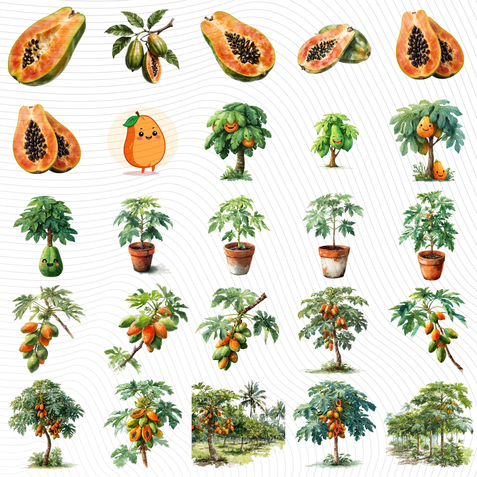 27 Papaya Tree Clipart Bundle | Watercolor Tropical Fruit Tree Transparent PNG