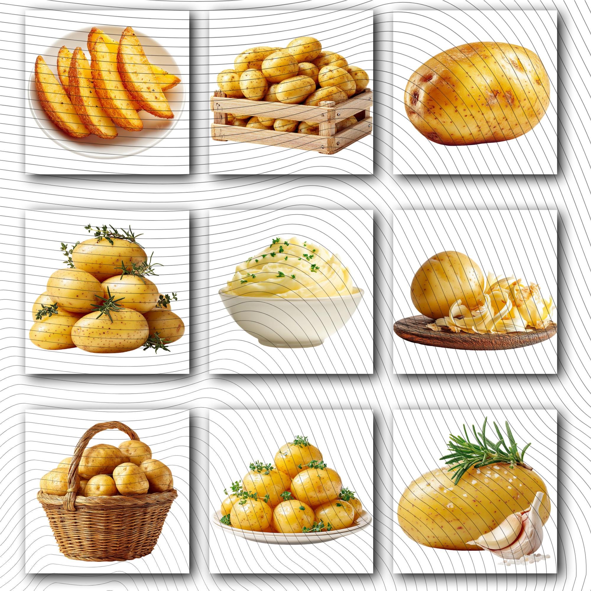 23 Realistic Potato Clipart Bundle | PNG Transparent Background