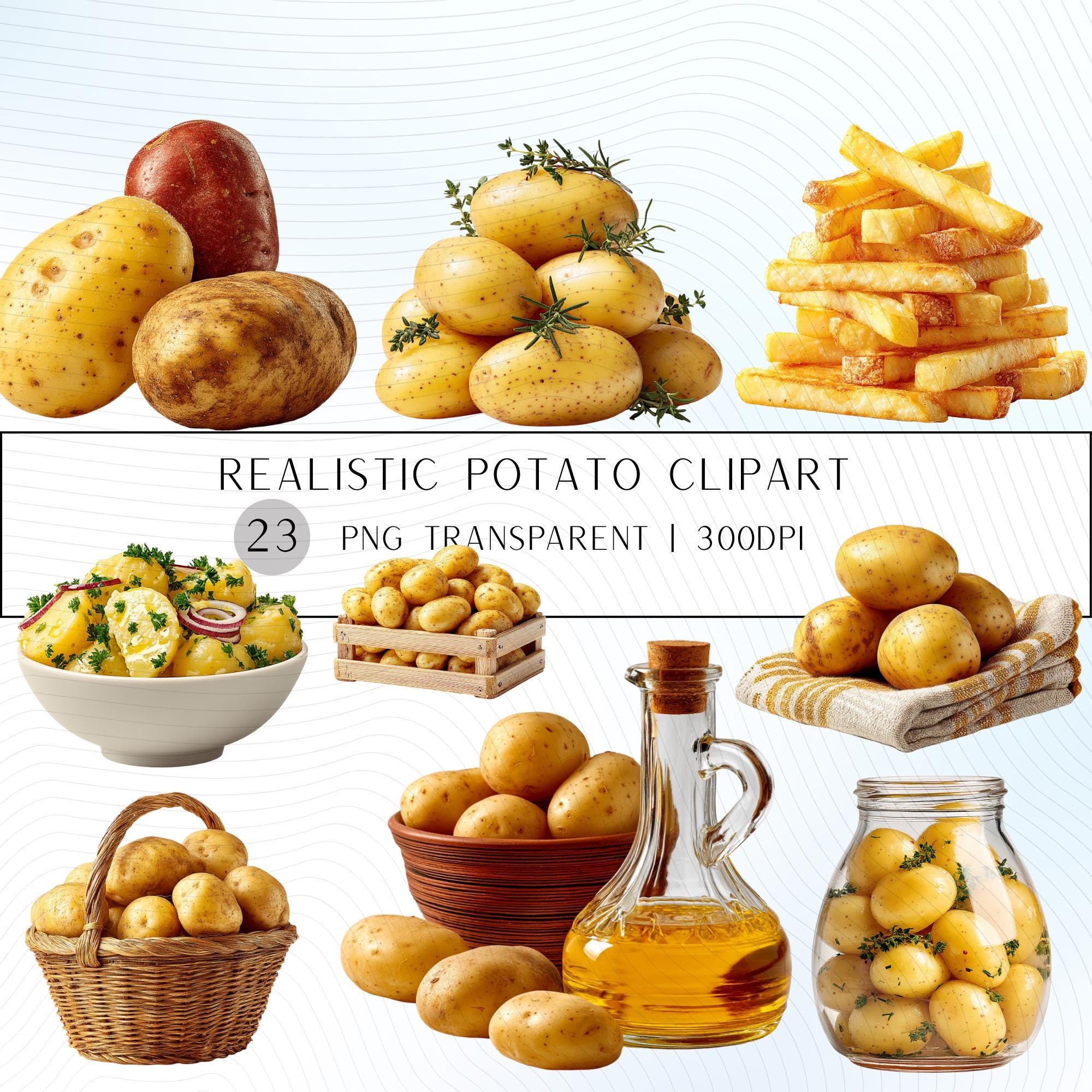 23 Realistic Potato Clipart Bundle | PNG Transparent Background