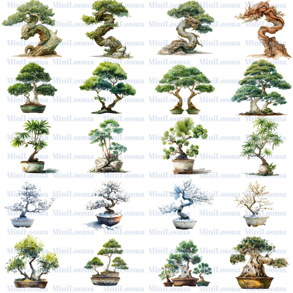 120 Watercolor Bonsai Tree Clipart Bundle: Japanese Garden Art (Transparent PNG)