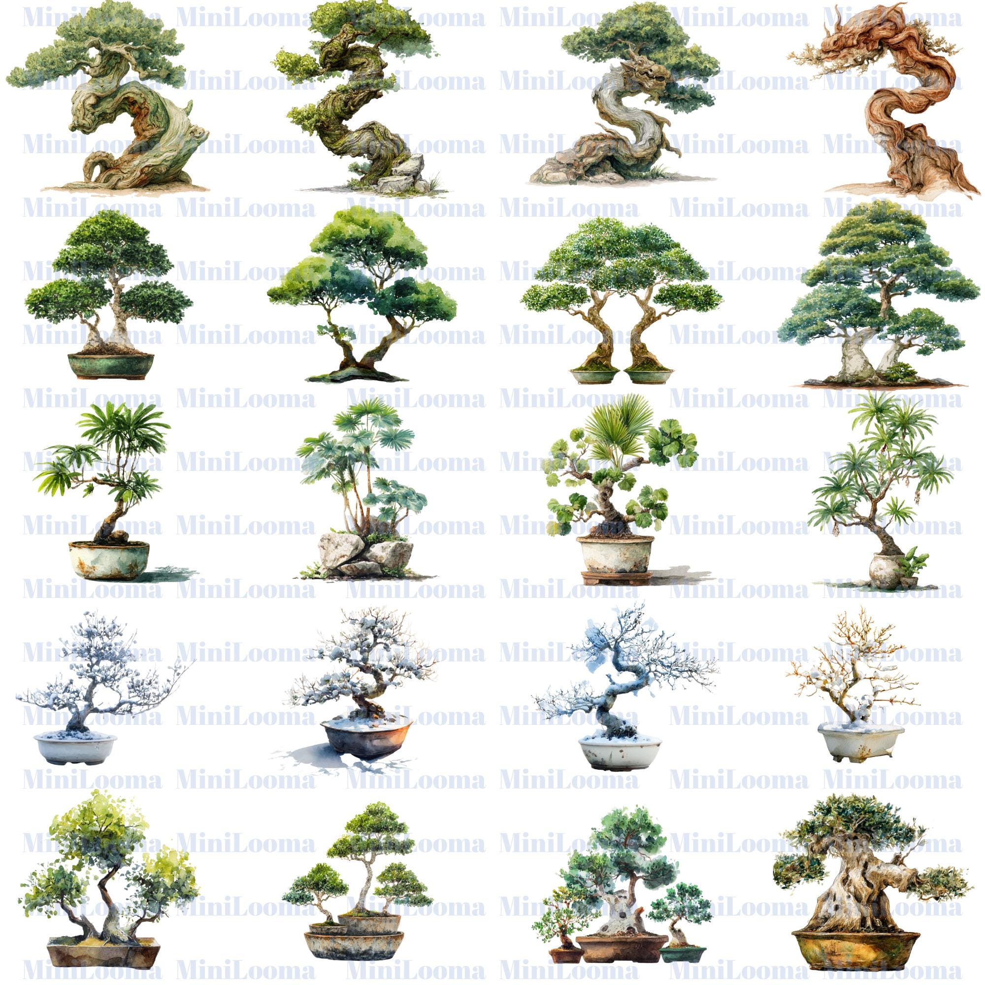 120 Watercolor Bonsai Tree Clipart Bundle: Japanese Garden Art (Transparent PNG)