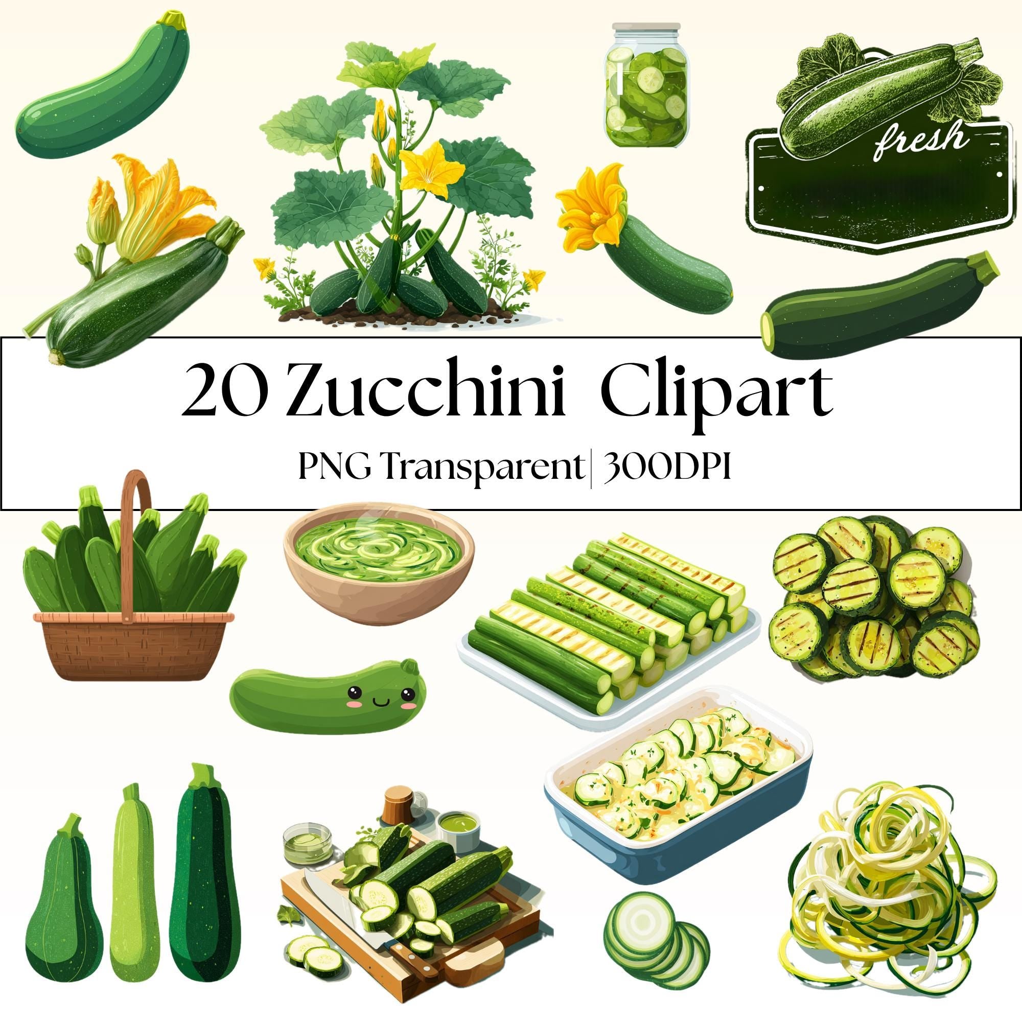 20 Zucchini Clipart Bundle: Vector Graphics, Zoodles, Squash (PNG Transparent, PDF Downloadable Files Included)