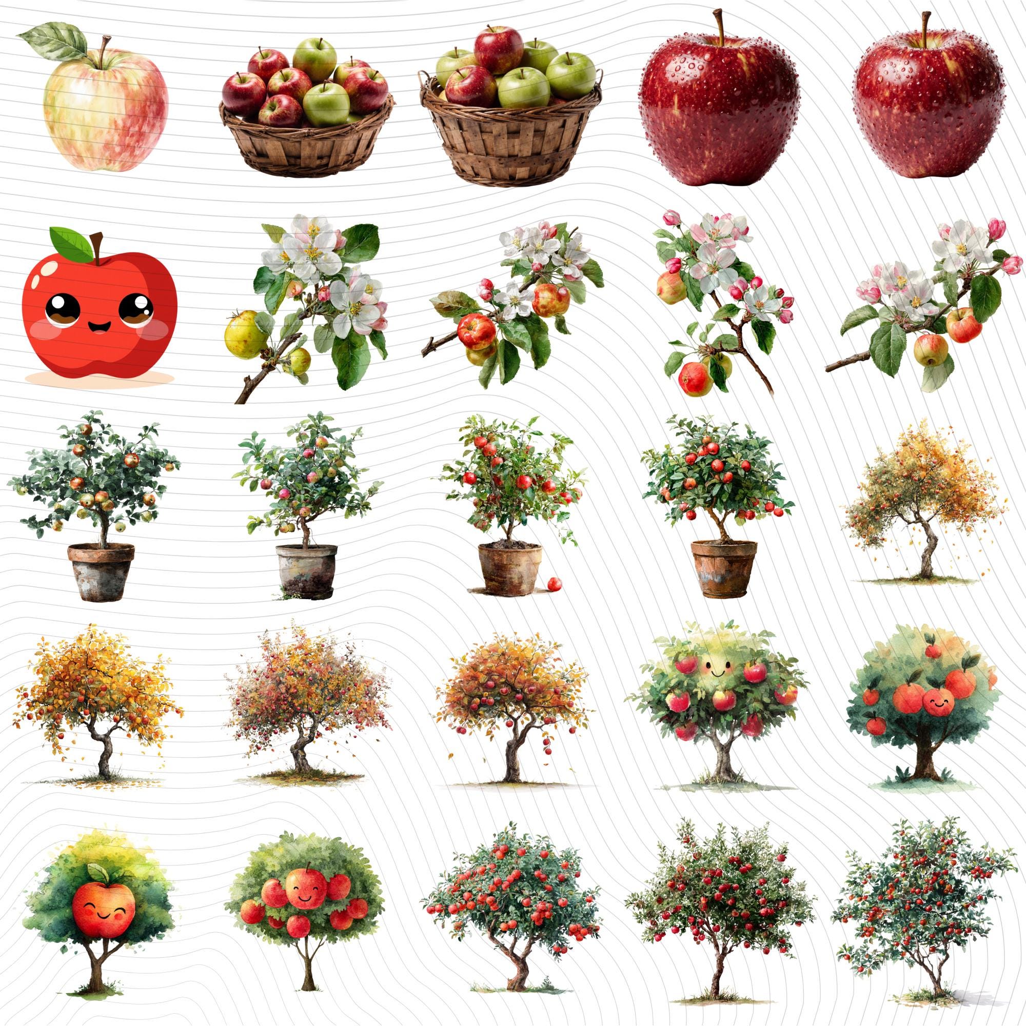 26 Apple Tree Clipart | Watercolor & Realistic Apple Illustrations| Botanical Fruit| Transparent PNG