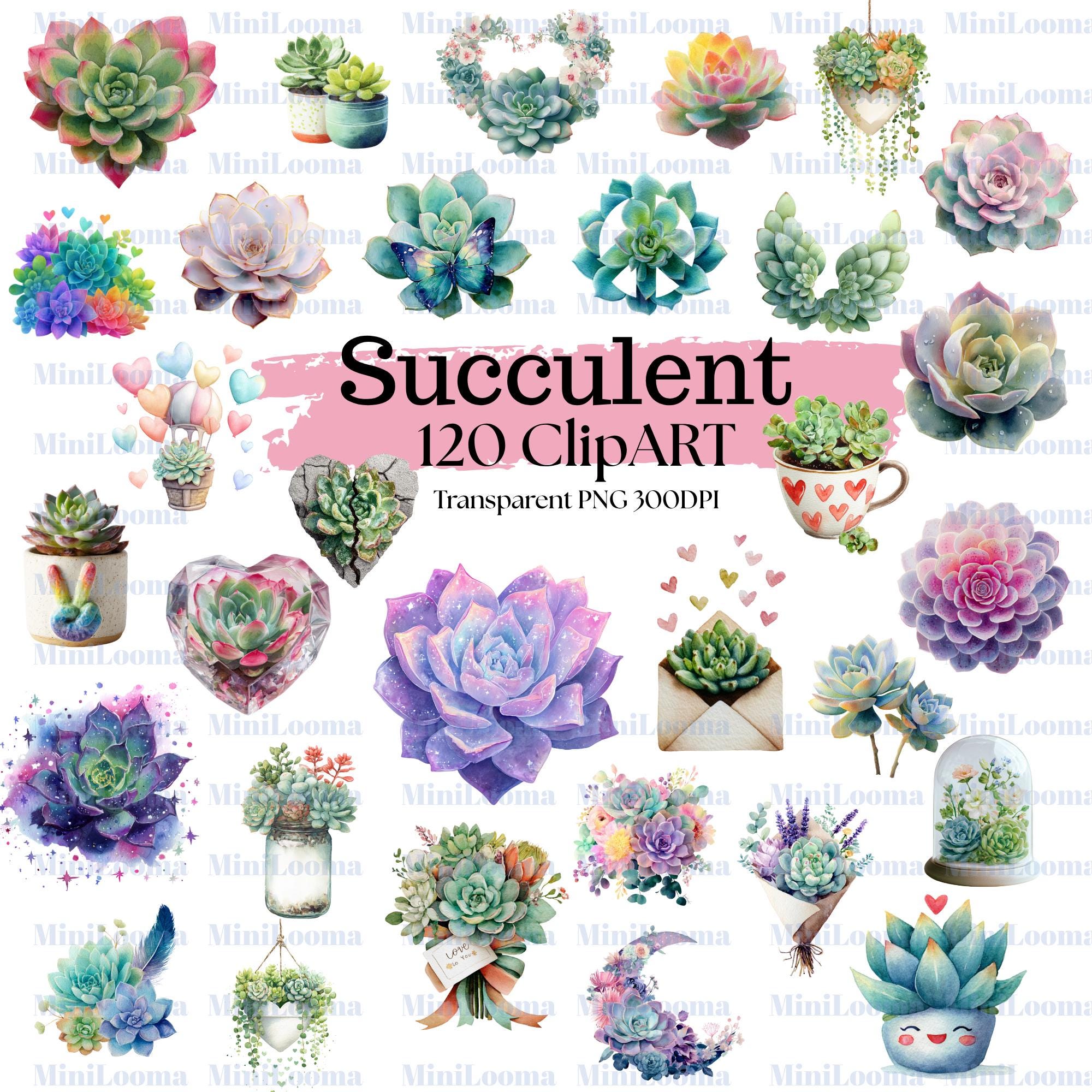 120 Succulent Clipart Bundle |Colorful Watercolor Succulents, Pots & Bouquets PNG Set |PNG  Transparent Background