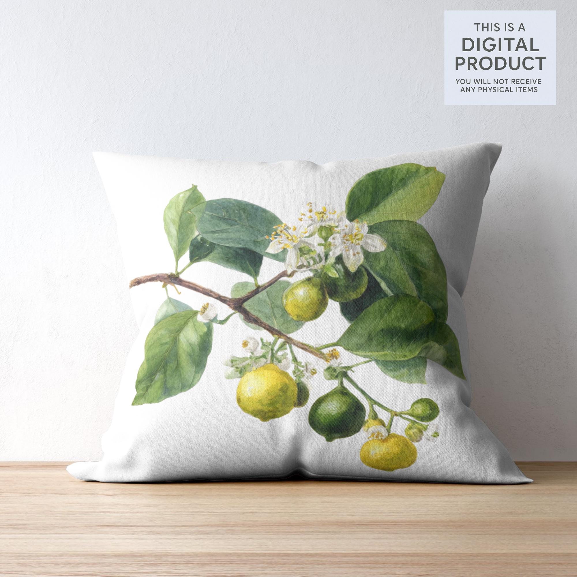 29 Lemon Tree Clipart Bundle: Citrus PNG Graphics (Digital Download)