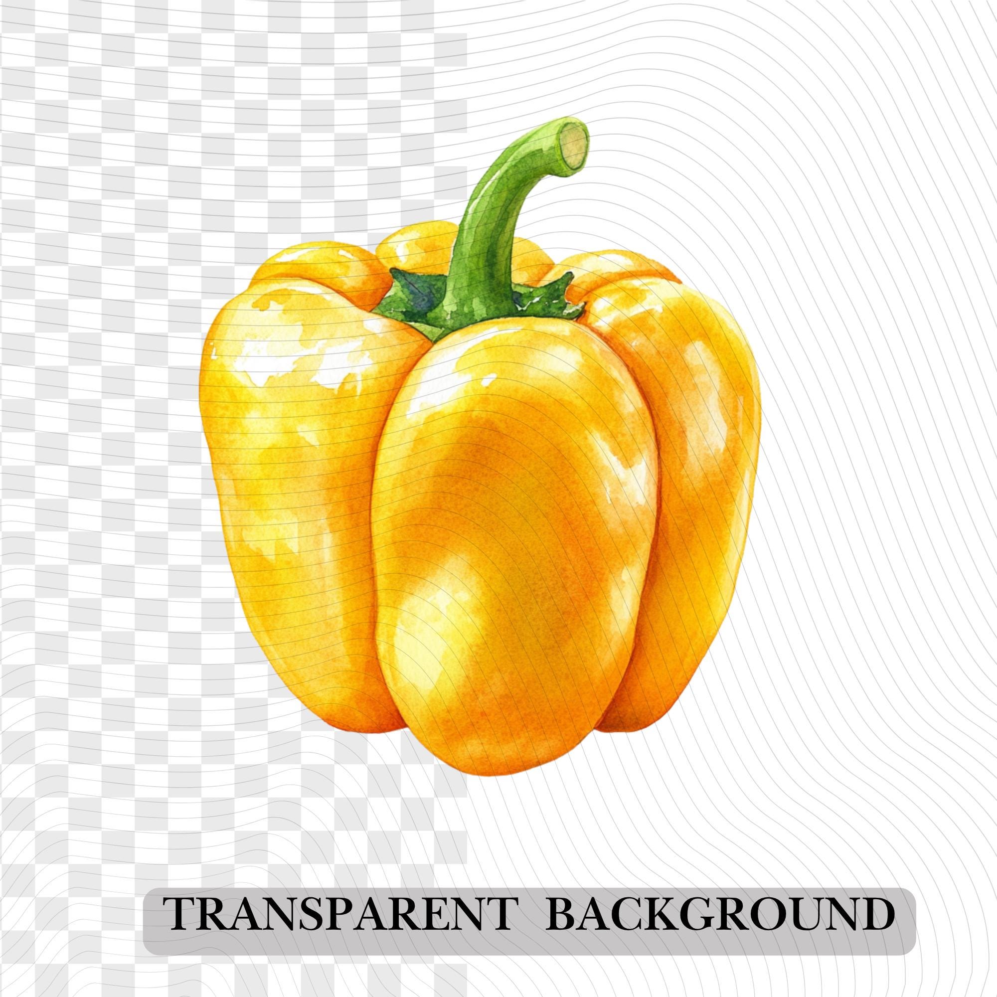 44 Watercolor Bell Pepper Clipart Bundle: Red, Green, Yellow (Transparent PNG)