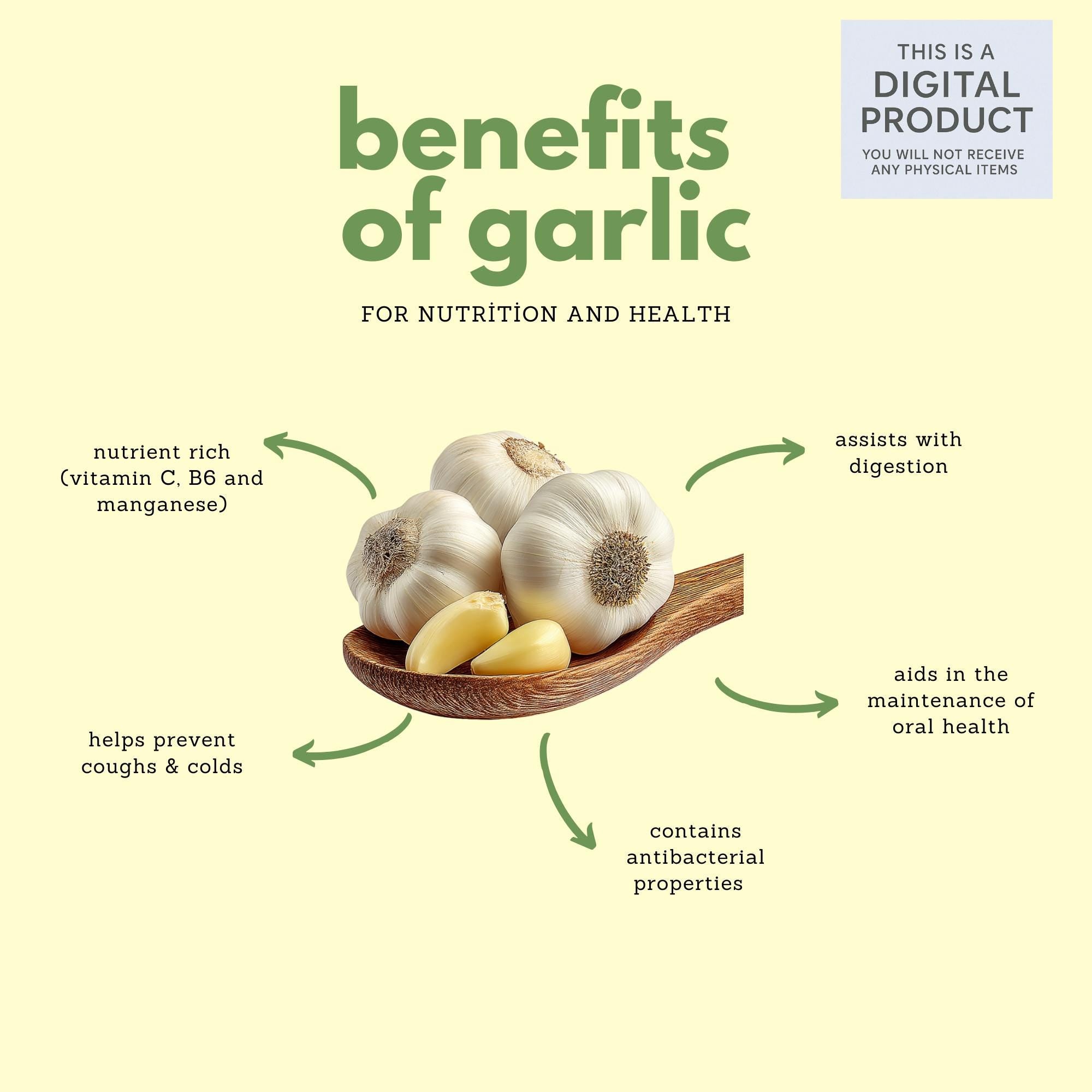 27 Realistic Garlic Bundle | PNG Transparent Background