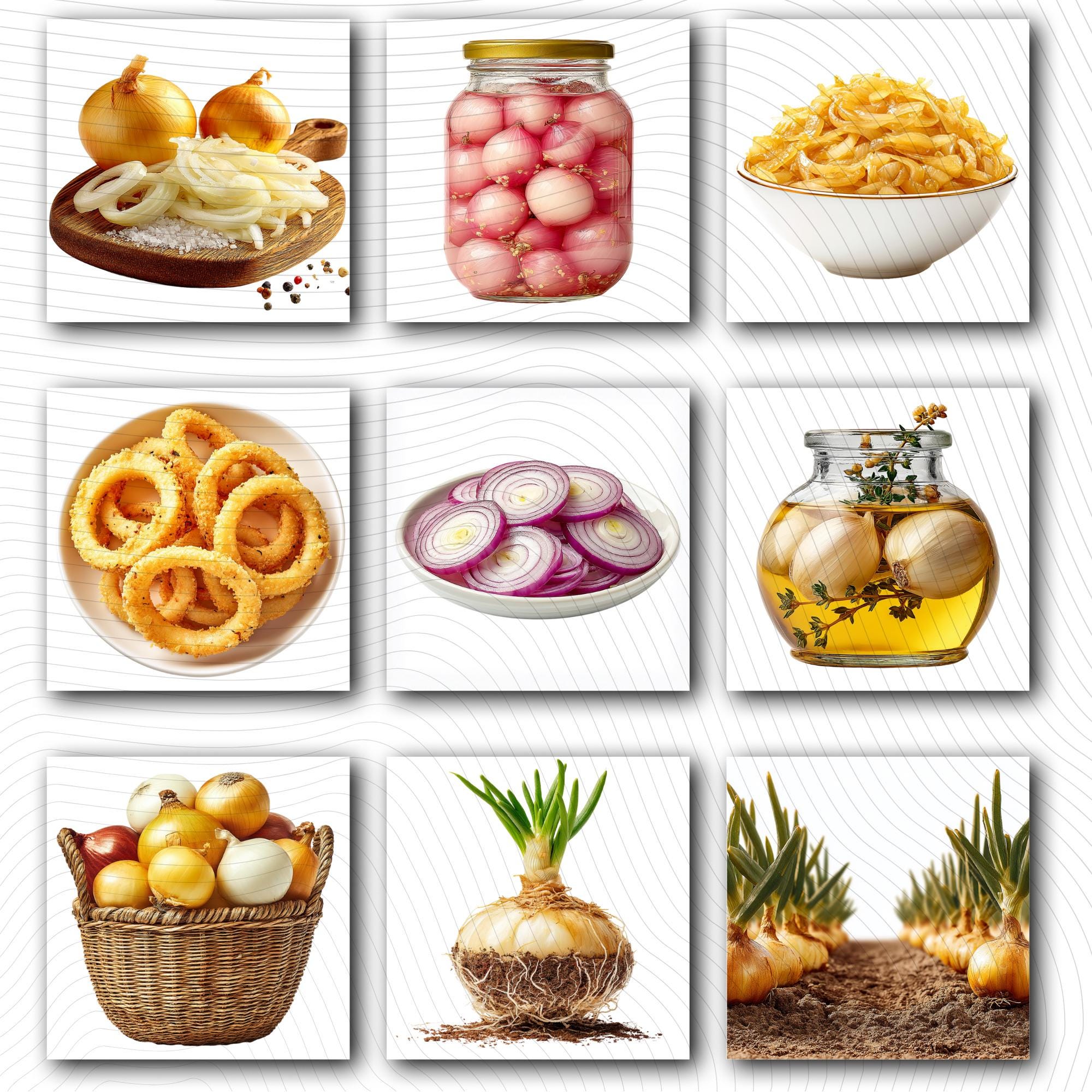 19 Realistic Onion Clipart Bundle | Botanical Onions PNG Transparent Background