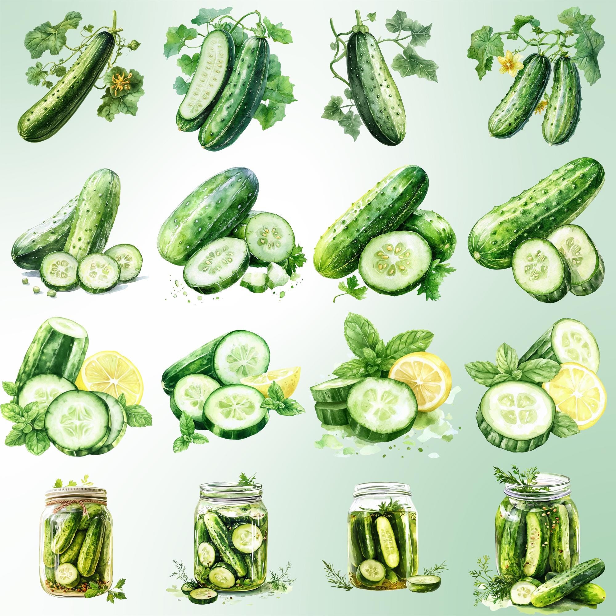 40 Cucumber Clipart Bundle: Watercolor Veggies, Pickle Jar (PNG Transparent)
