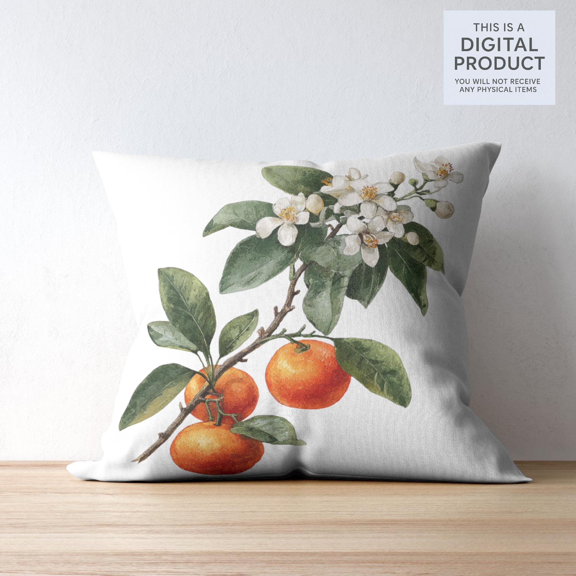 29 Orange Tree Clipart Bundle | Citrus Fruit Tree Transparent PNG