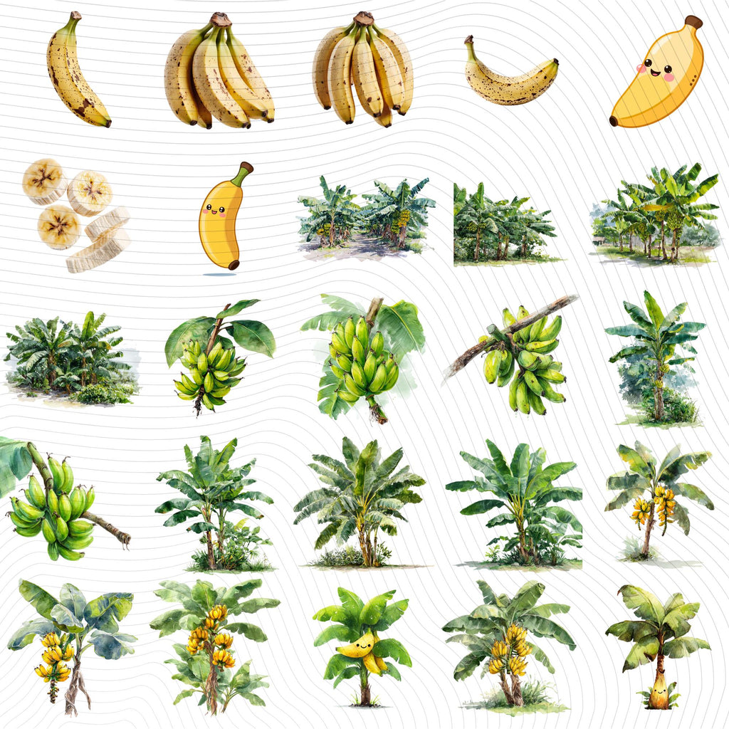 27 Banana Tree Clipart Bundle: Tropical Fruit PNG Set (Digital Download)