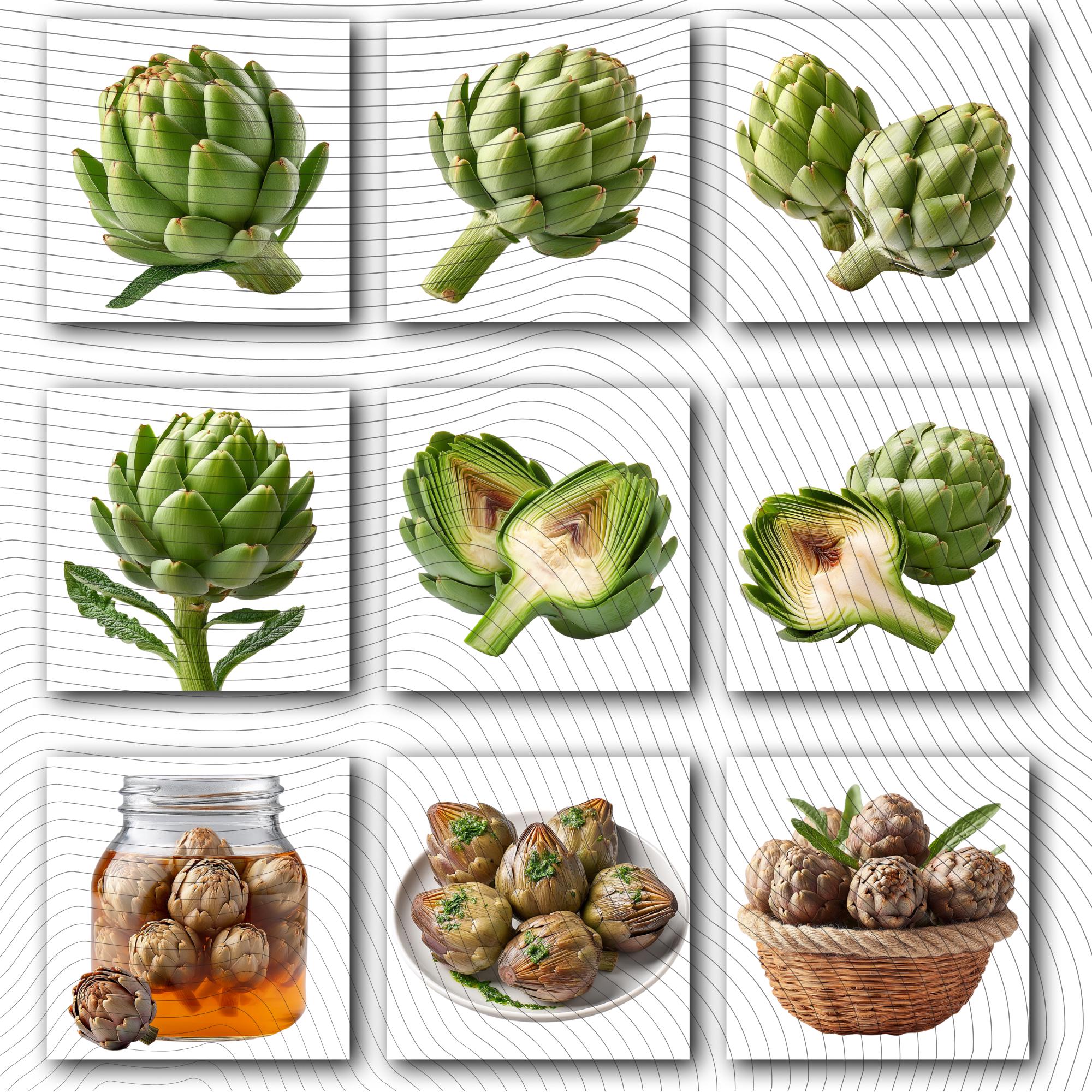 27 Realistic Artichoke Clipart Bundle| PNG Transparent Background