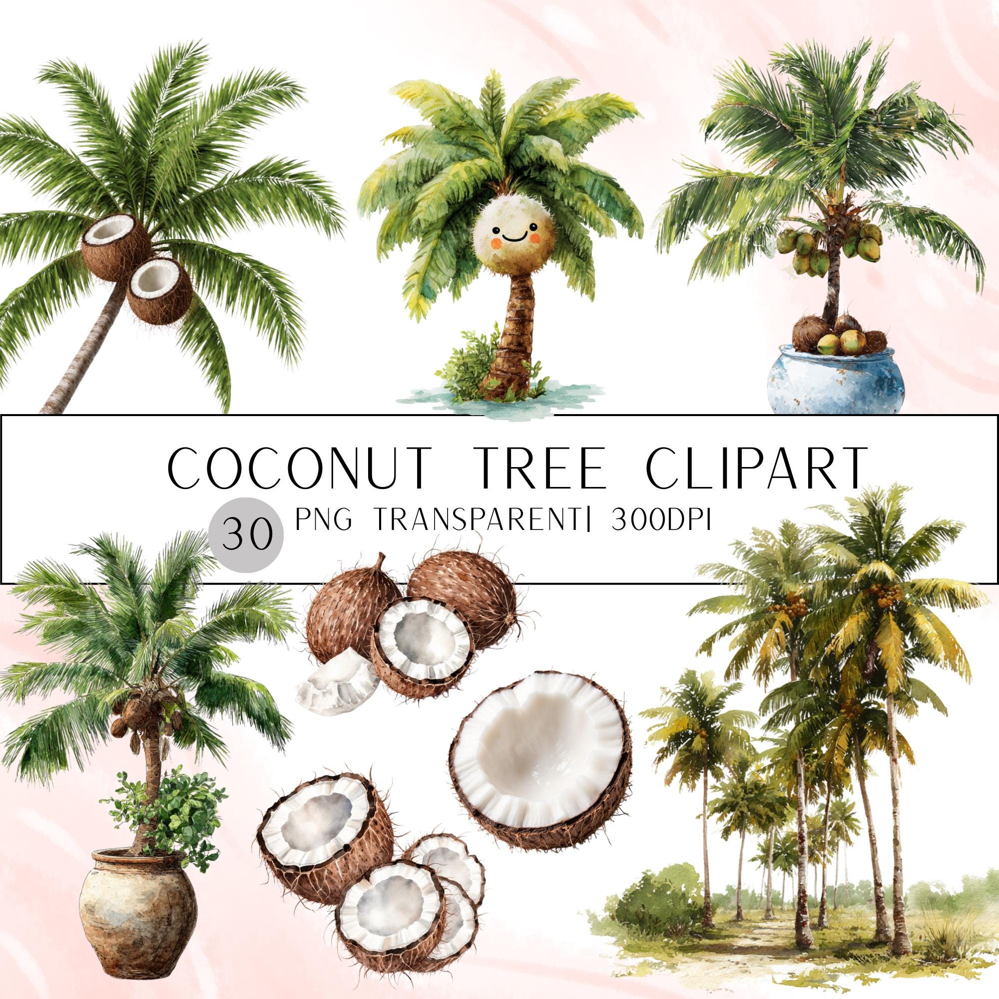 30 Coconut Tree Clipart Bundle: Watercolor Tropical Illustrations (PNG)