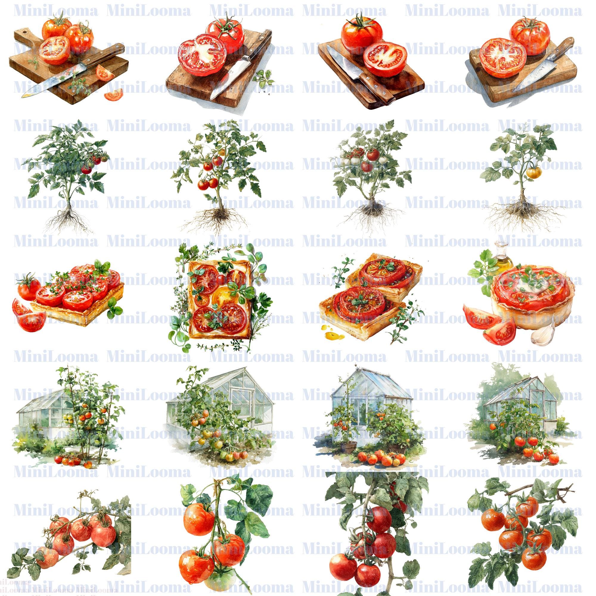 122 Watercolor Tomato Clipart Bundle: Kitchen Art, Recipe Illustration (Transparent PNG)