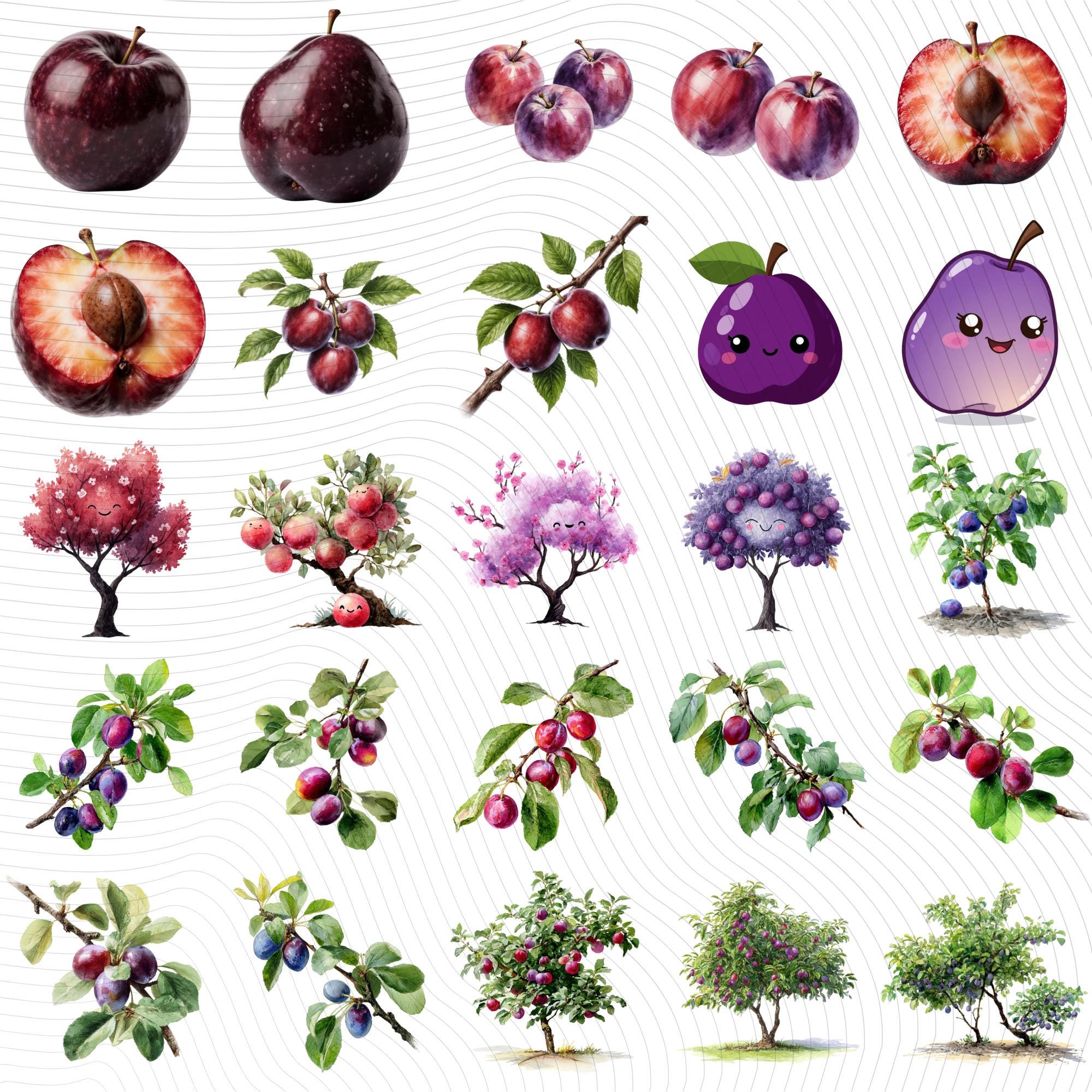 30 Watercolor Plum Clipart Bundle: Fruit Tree PNG Images (Digital Download)