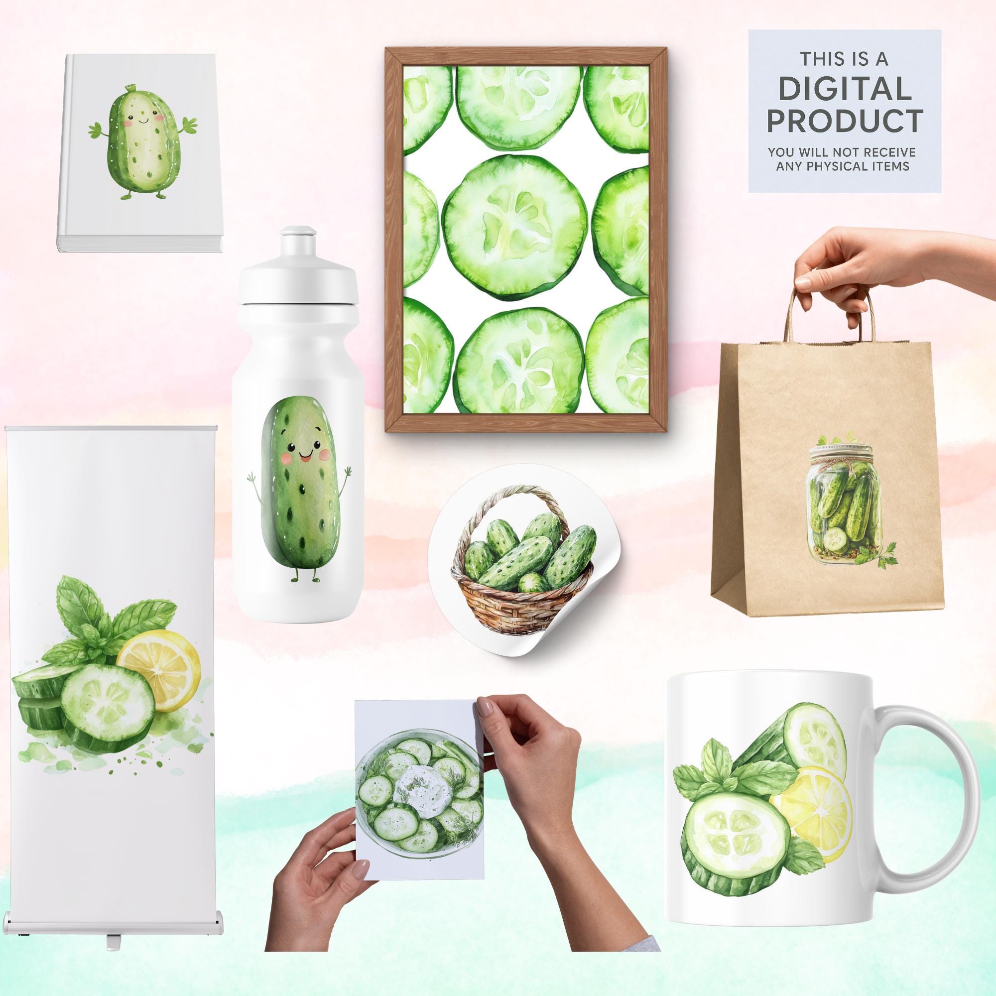 40 Cucumber Clipart Bundle: Watercolor Veggies, Pickle Jar (PNG Transparent)