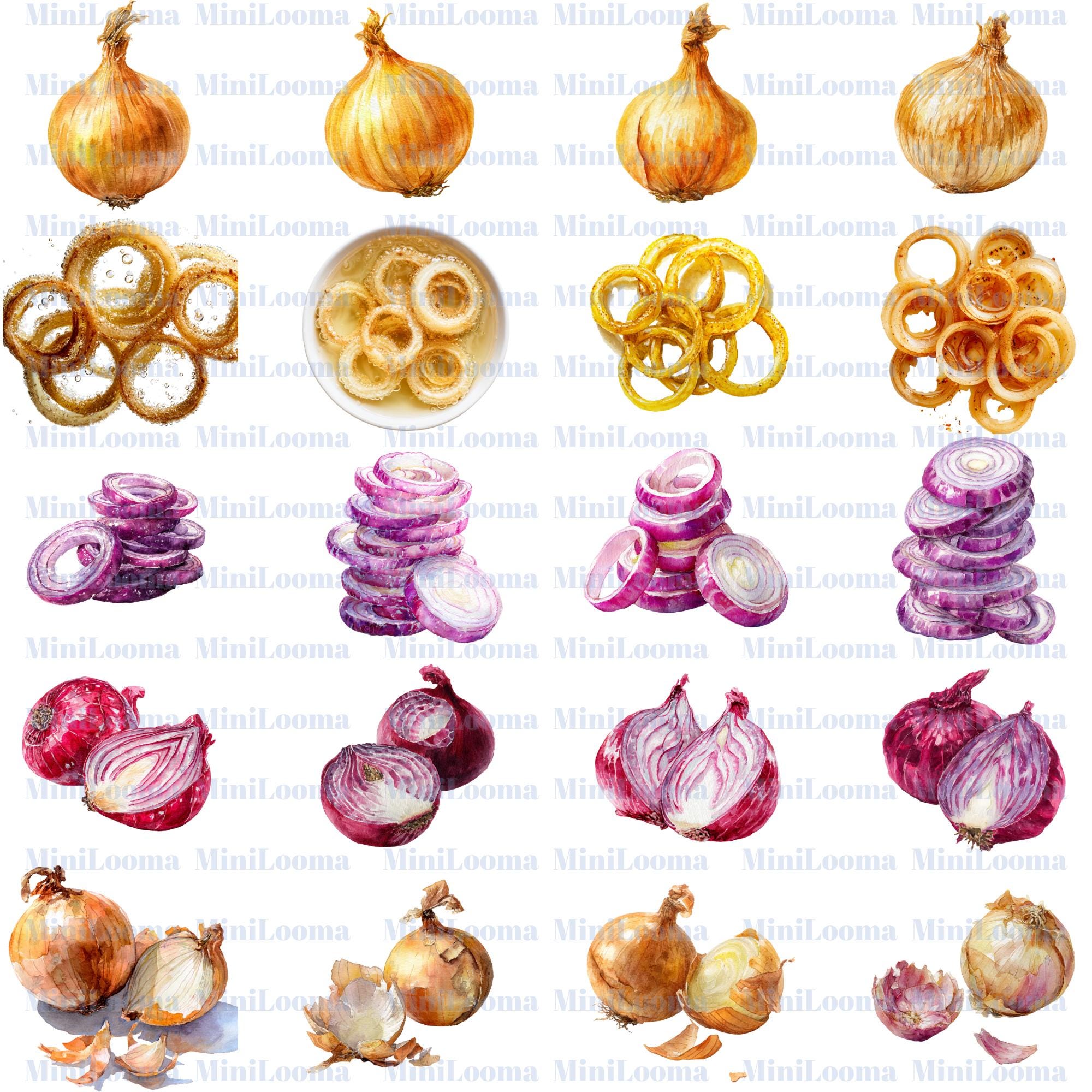 113 Watercolor Onion Clipart Bundle: Red, Yellow, Sliced Onions (Transparent PNG )