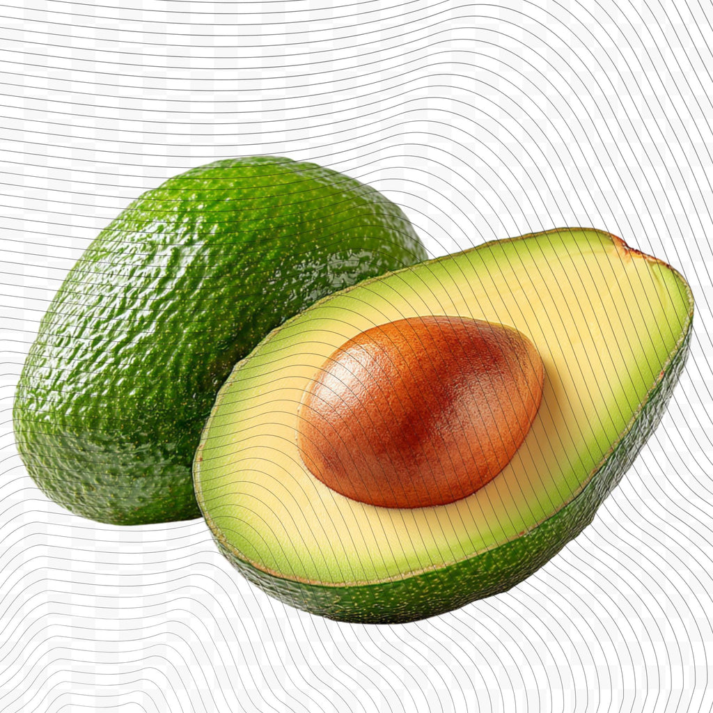 25 Realistic Avocado Clipart Bundle| PNG Transparent Background