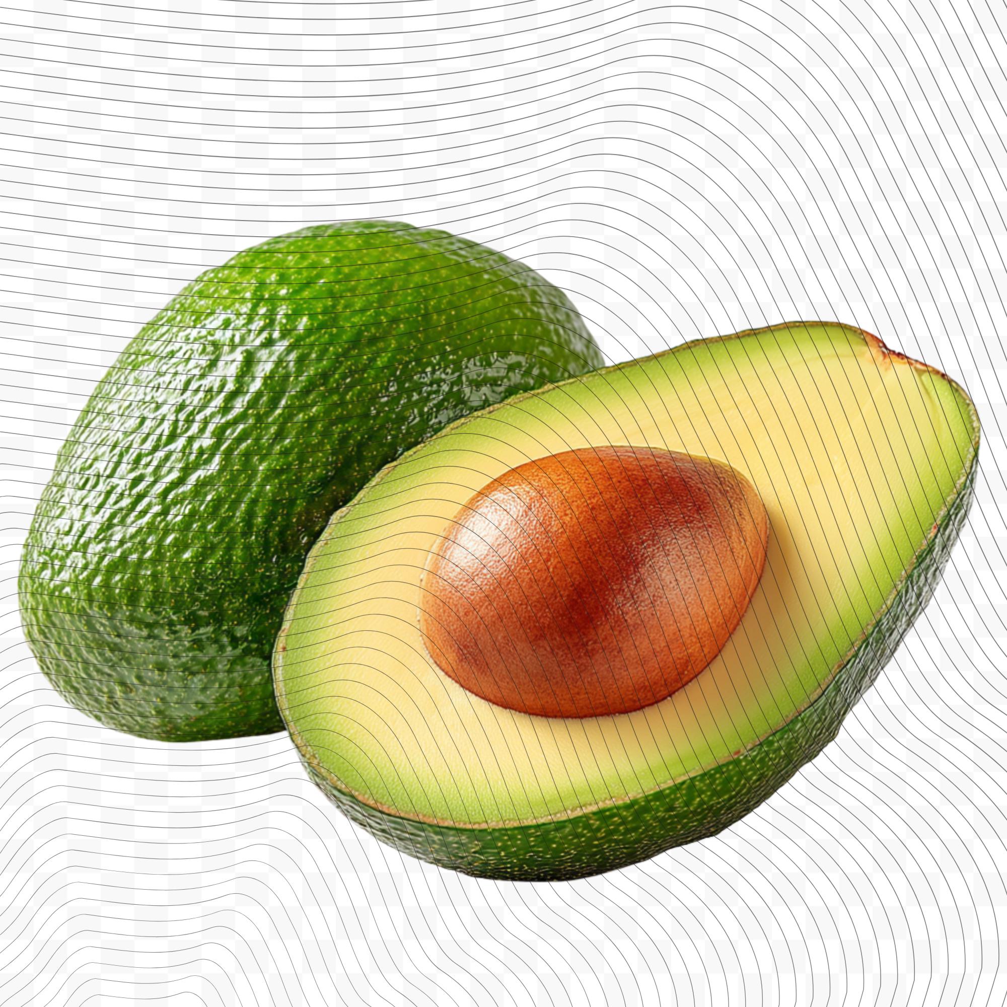 25 Realistic Avocado Clipart Bundle| PNG Transparent Background