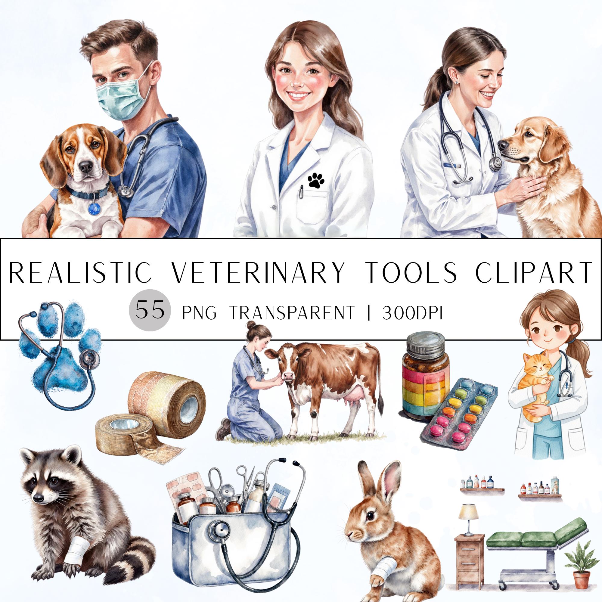 55 Veterinary Tools Clipart|PNG Set, Transparent Background