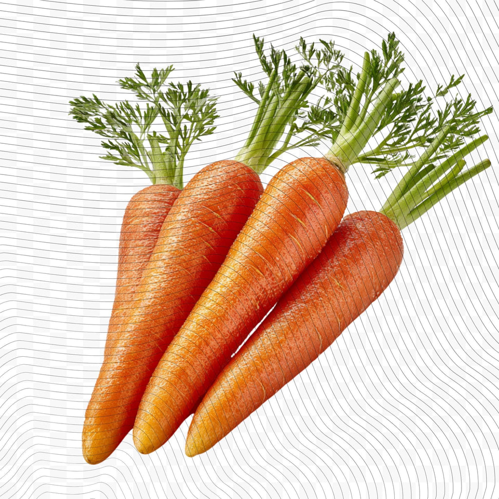 27 Realistic Carrot Clipart Bundle | PNG Transparent Background