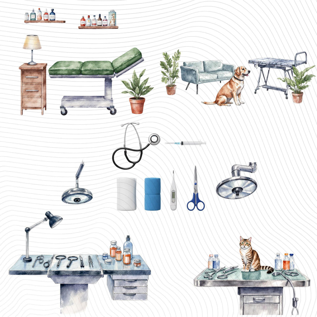 55 Veterinary Tools Clipart|PNG Set, Transparent Background