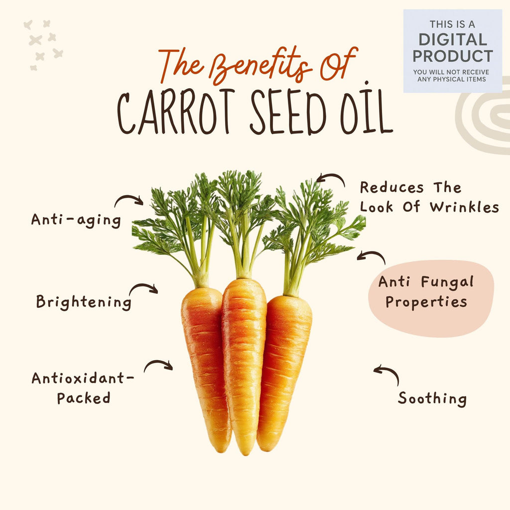 27 Realistic Carrot Clipart Bundle | PNG Transparent Background