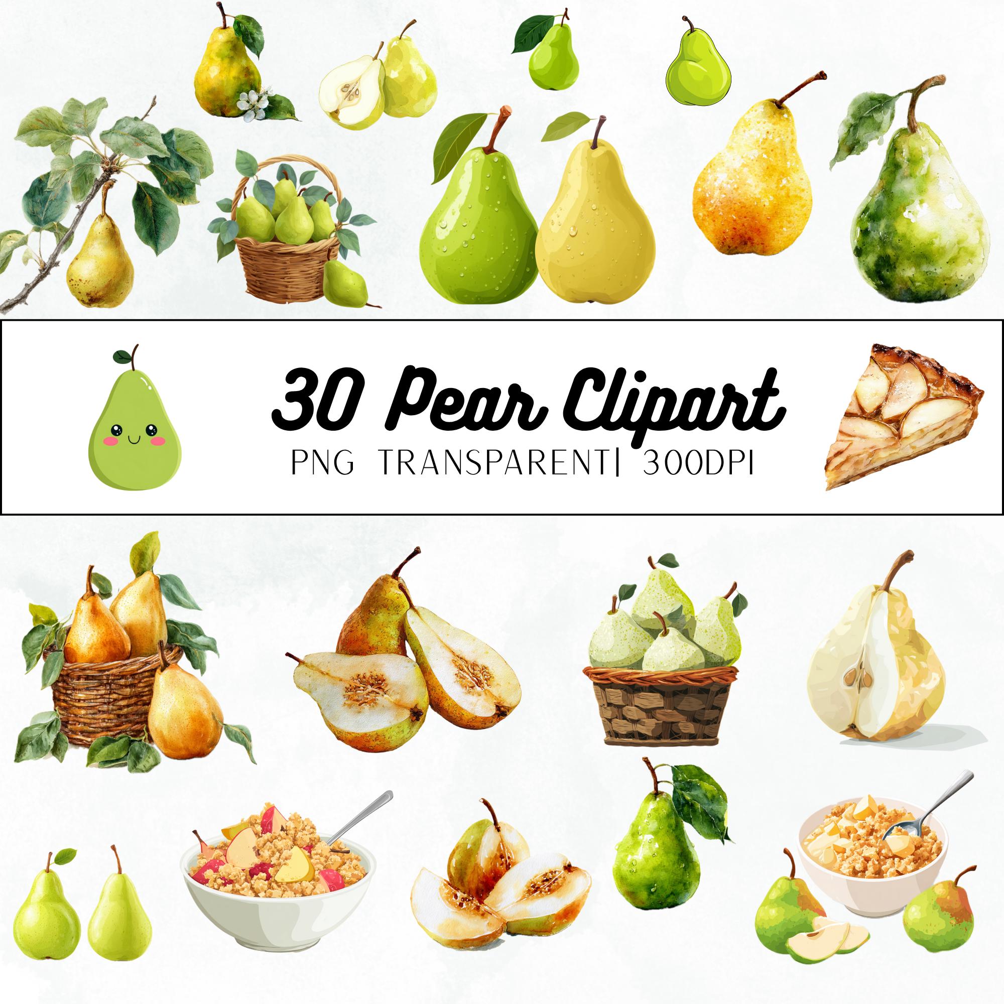 30 Watercolor Pear Clipart Bundle: Botanical Fruit Art (Transparent PNG )
