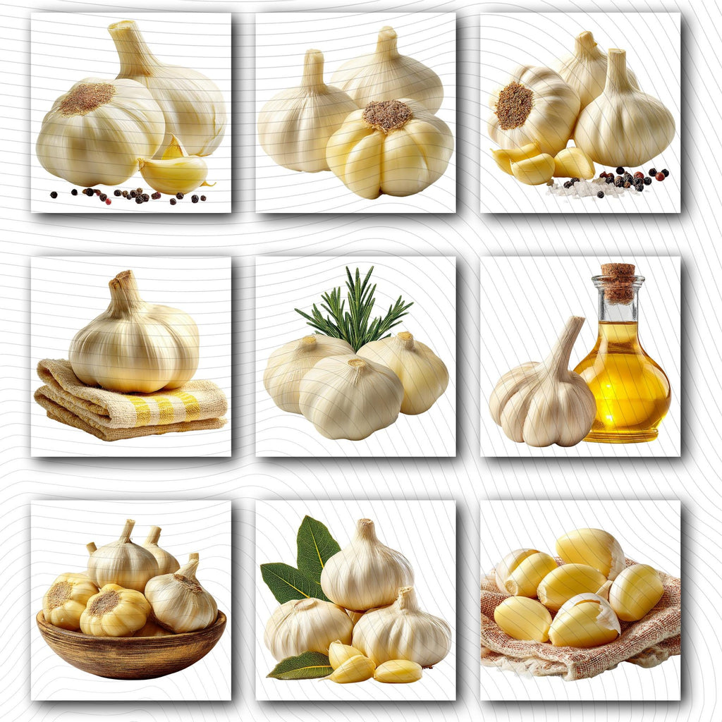 27 Realistic Garlic Bundle | PNG Transparent Background